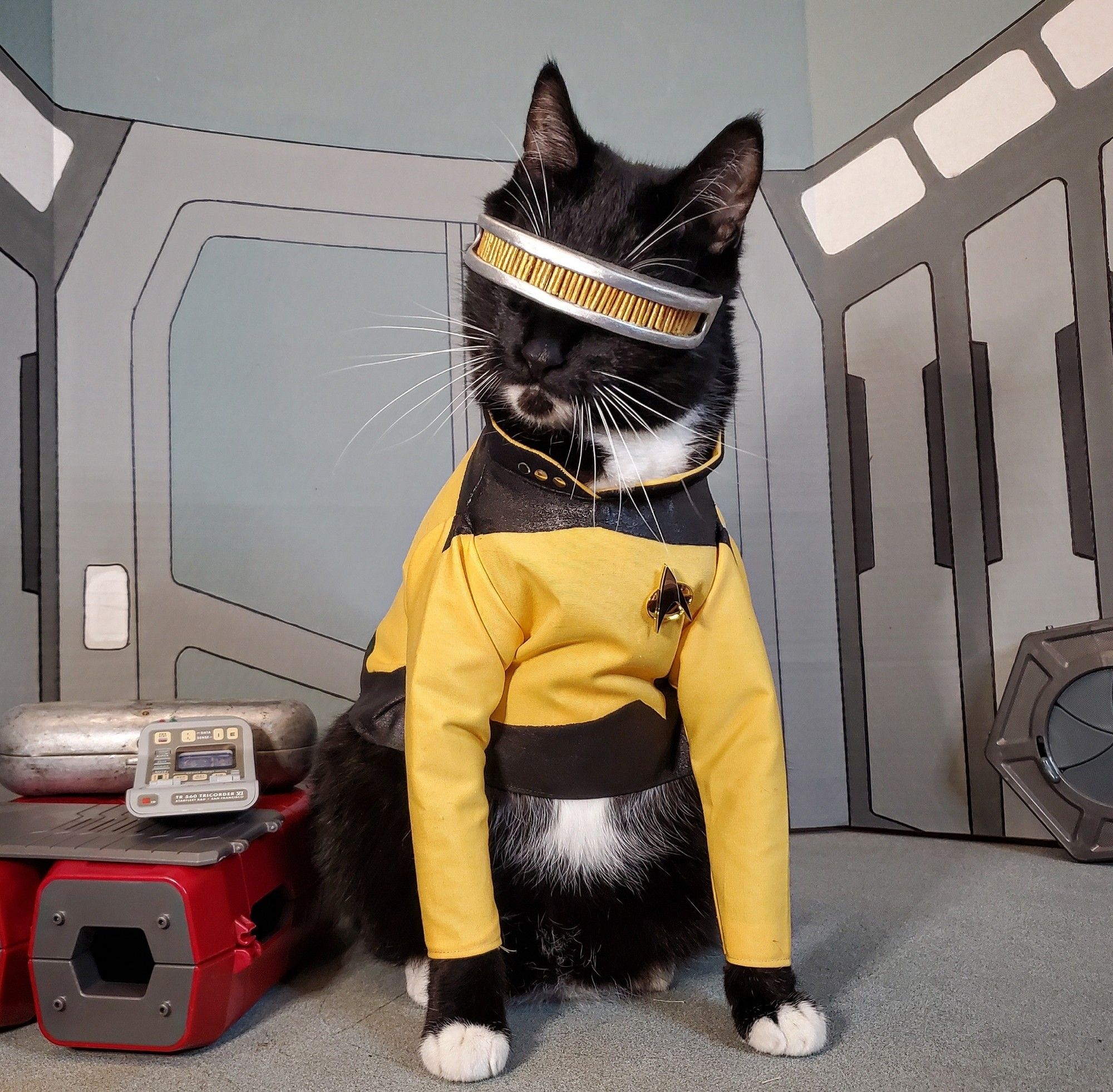 A cat dressed in a gold star trek uniform with a Geordi la Forge visor sits in a loading bay, his head tilted in a questioning way.