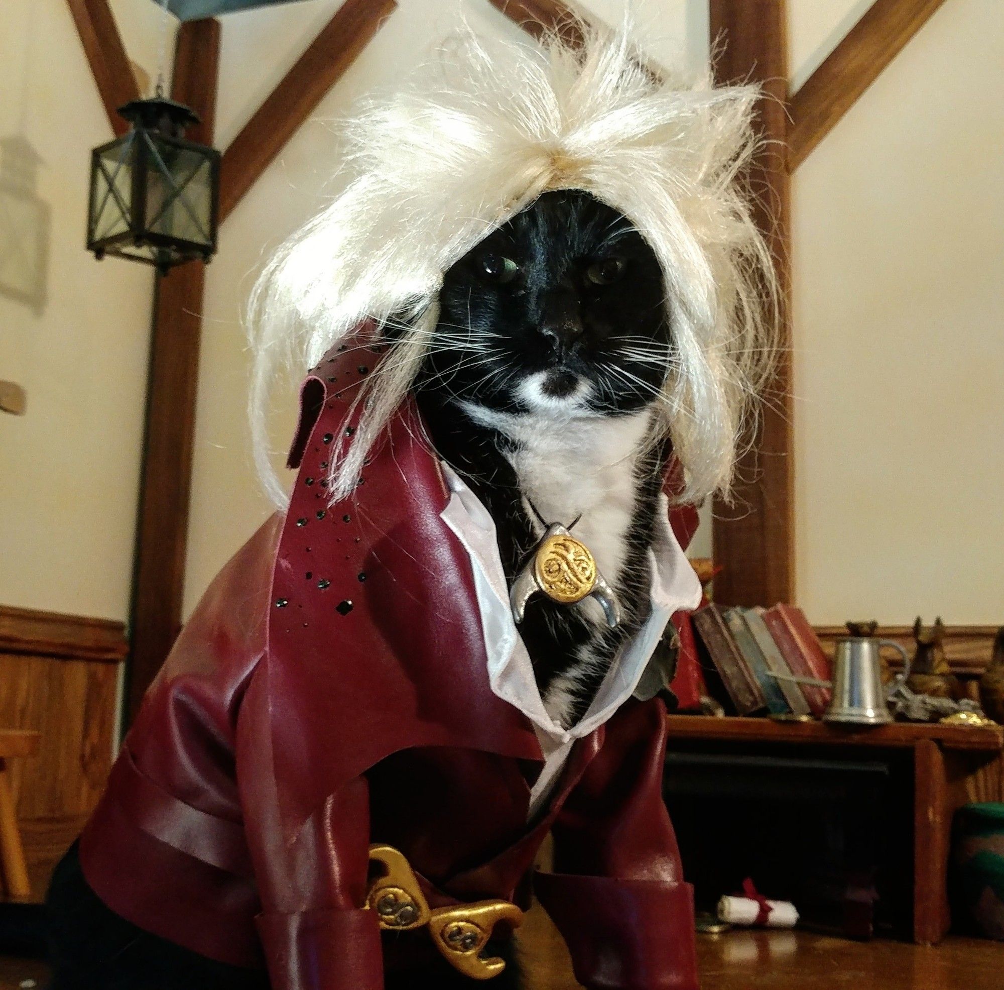 A tuxedo cat dressed up as Jareth the Goblin king from labyrinth. He's wearing a red leather V jacket with a white frilly shirt under with a silver/gold pendant and silvery 80's hair band hair.