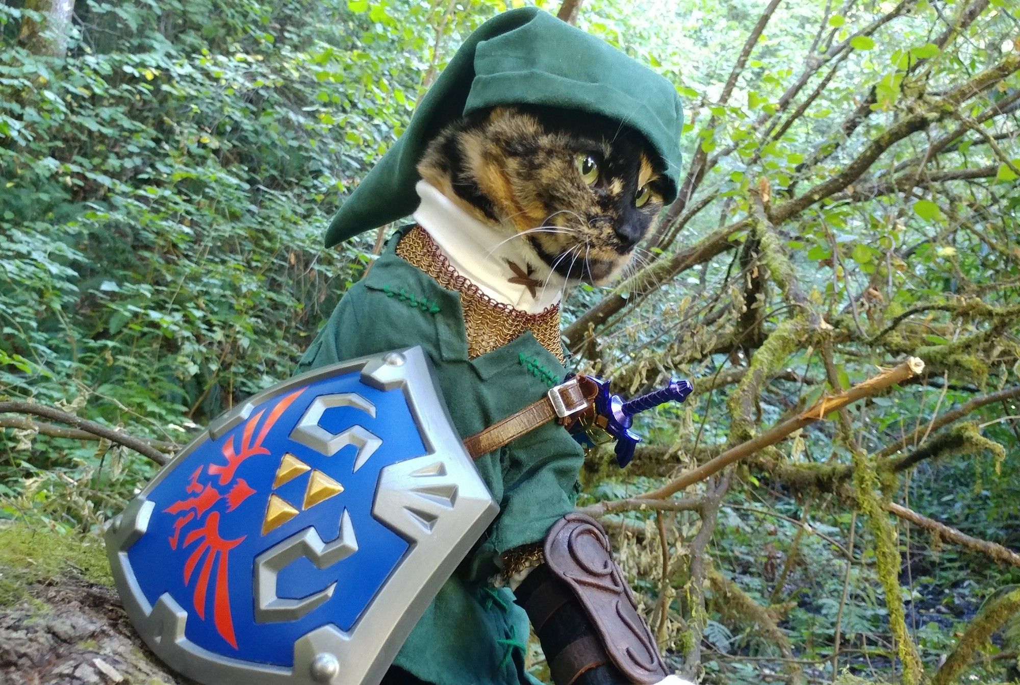 A cat dressed as Link from the Legend of Zelda sits in a heavily wooded park.