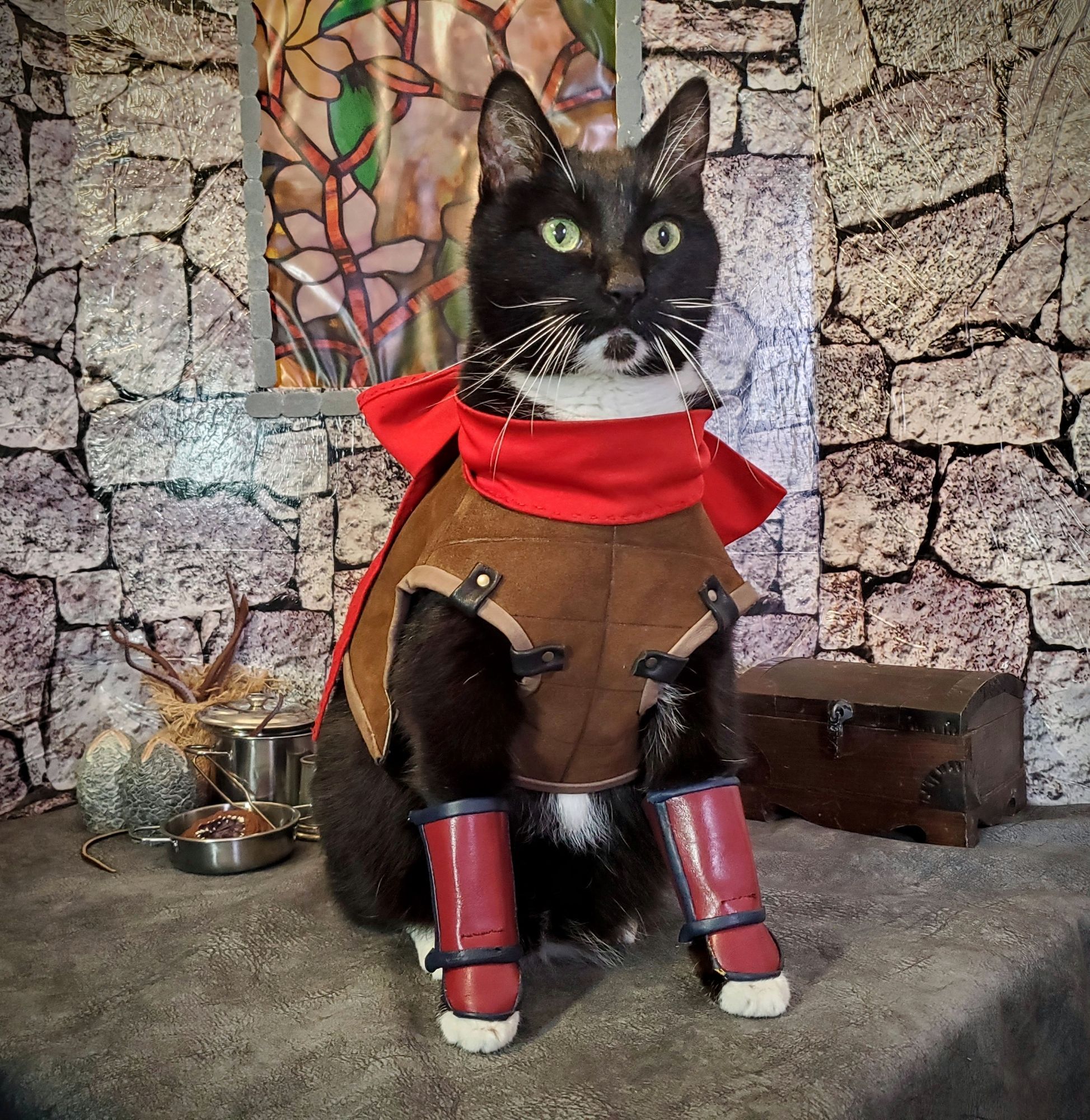 A cat dressed as izutsumi from delicious in dungeon anime.