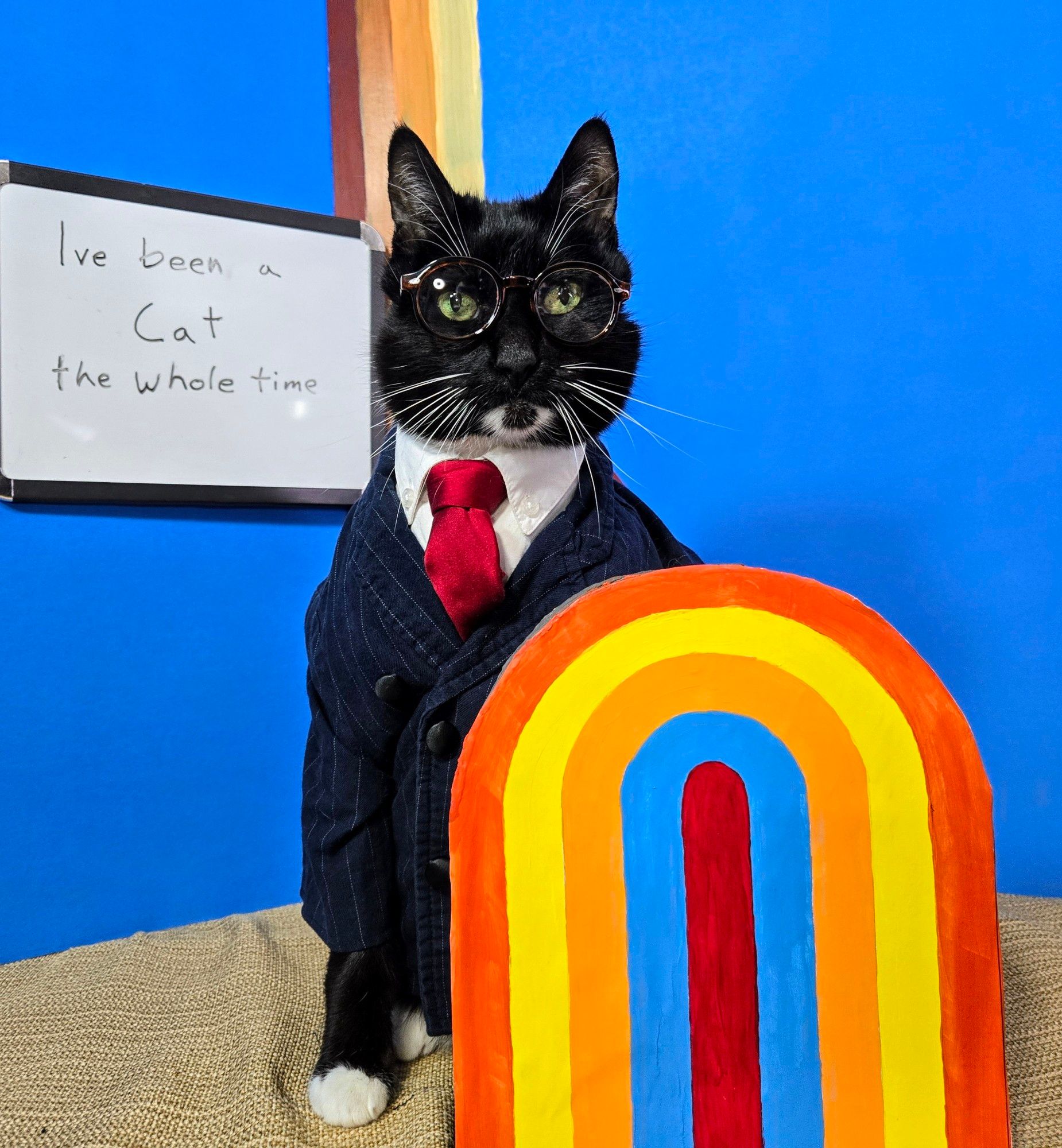 A cat dressed as Sam Reich on the set of the Game Changer game show with a white board behind him that says "I've been a Cat the whole time"