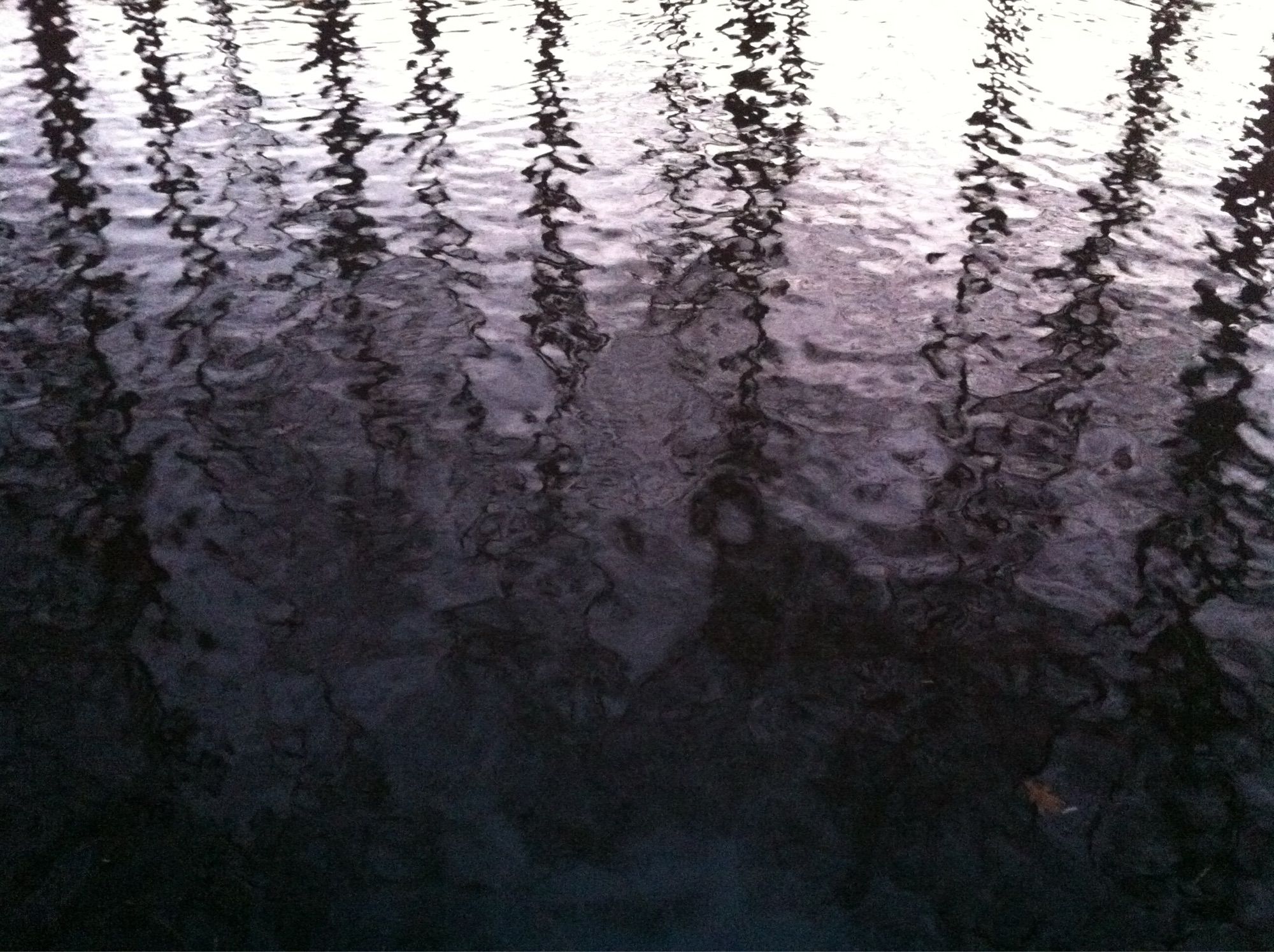 The image shows a body of water with ripples on its surface. The water reflects the silhouettes of tall, thin trees, creating a pattern of dark vertical lines against the lighter background of the sky. The overall tone of the image is dark, with the water appearing almost black in some areas, and the reflections are slightly distorted due to the movement of the water.