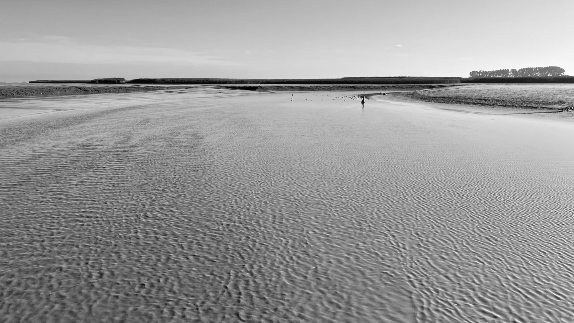 When The Water's Gone. Het is eb. Foto van de droge vaargeul in de richting van de Kiekkaaste.