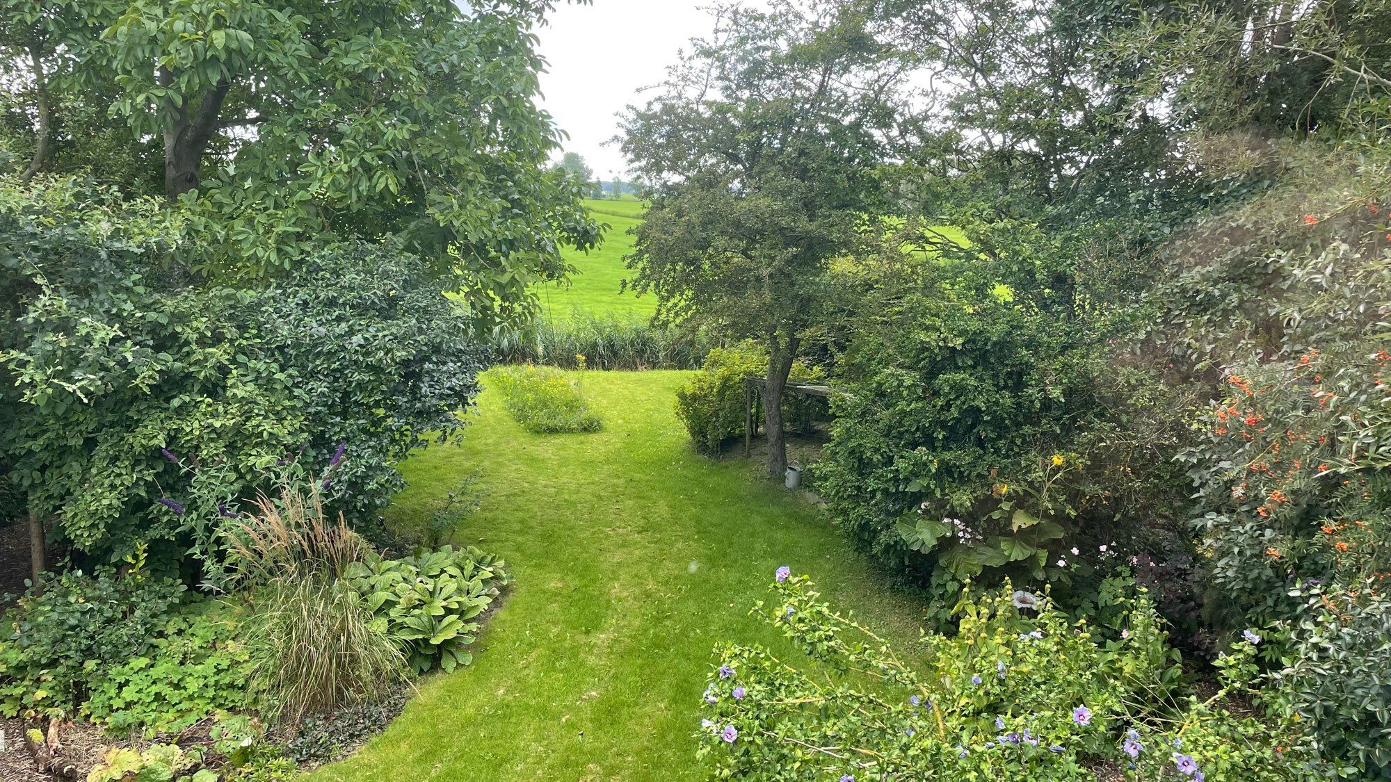 Uitzicht links over de tuin en het weiland. Rechtsachter de kippenren.