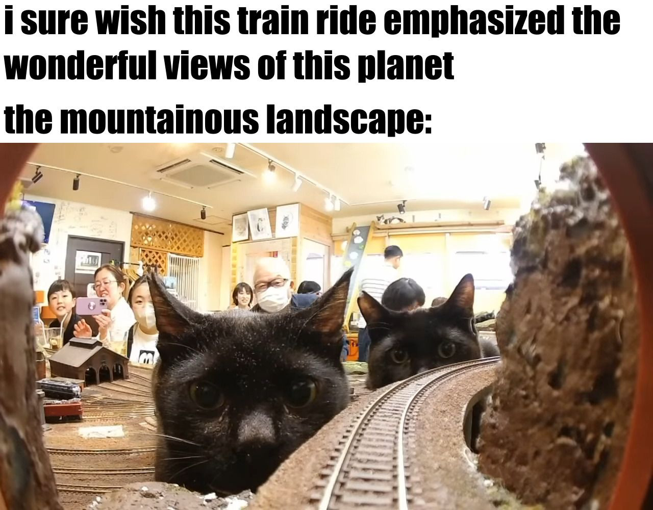 i sure wish this train ride emphasized the 
wonderful views of this planet

the mountainous landscape: [a picture of two black cats from a model train's point of view. the cats are looking towards the model train that is on the entrance of a tunnel, before a track that curves to the right]