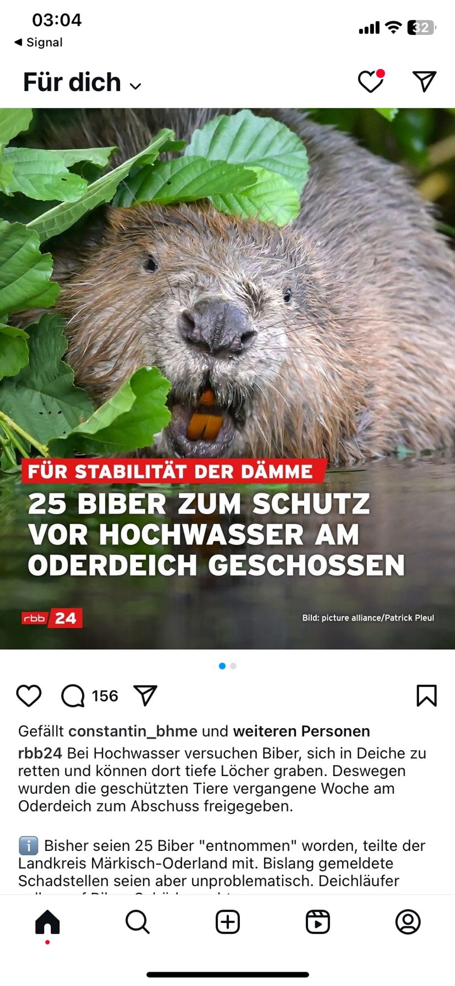 Ein Screenshot aus Instagramm. rbb 24 Nachrichten: 25 BIBER ZUM SCHUTZ VOR HOCHWASSER AM ODERDEICH GESCHOSSEN. Bei Hochwasser versuchen die Biber sich in die Deiche zu retten und können dort tiefe Löcher graben. Deswegen wurden die geschützten Tiere vergangene Woche am Oderdeich zum Abschuss freigegeben. Bisher seien 25 Biber entnommen worden teilte der Landkreis Märkisch - Oderland mit. Bislang gemeldete Schadstellen seihen aber unproblematisch.