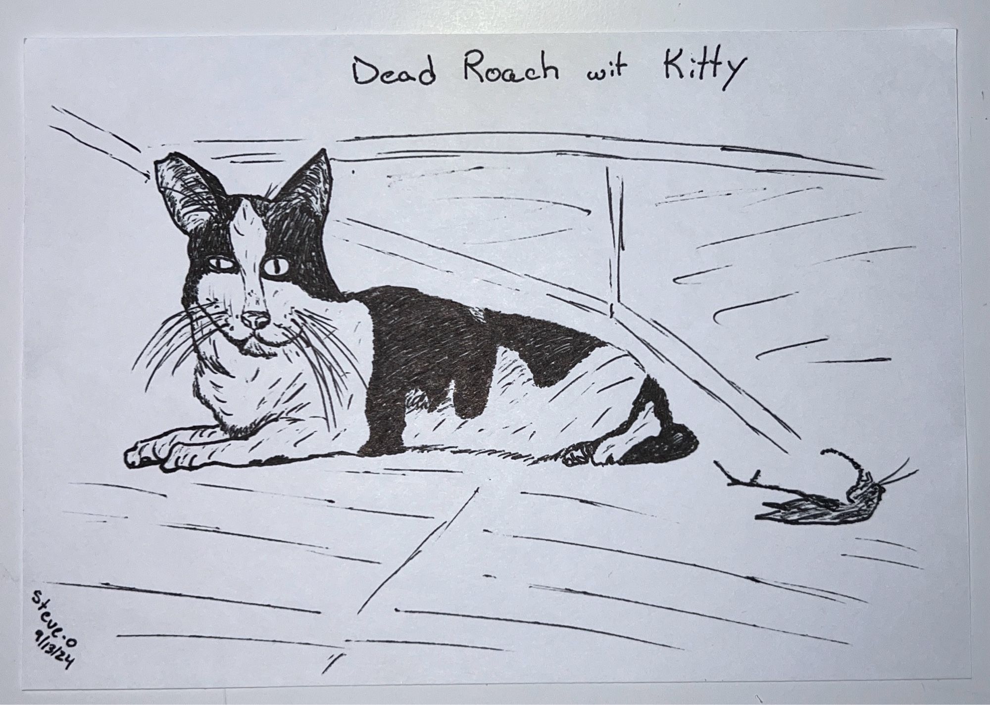 Bad drawing. A black and white cat with a notched ear under a bed next to a dead roach.