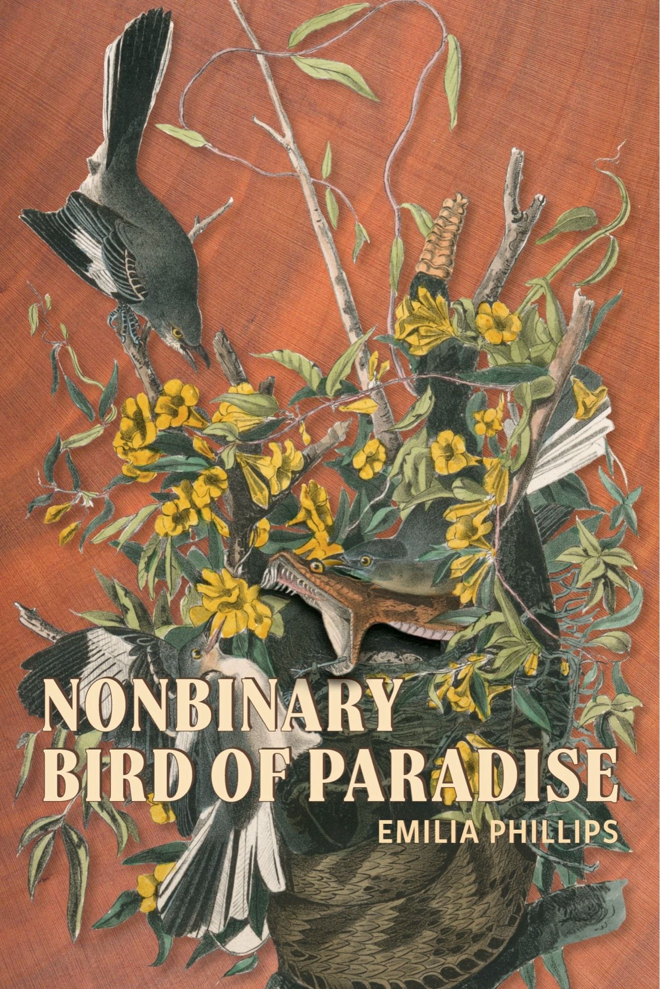 Non-binary bird of paradise by Emilia Phillips (U Akron Press, 2024). Featuring mockingbirds birds and yellow jessamine and a fierce attacking snake.