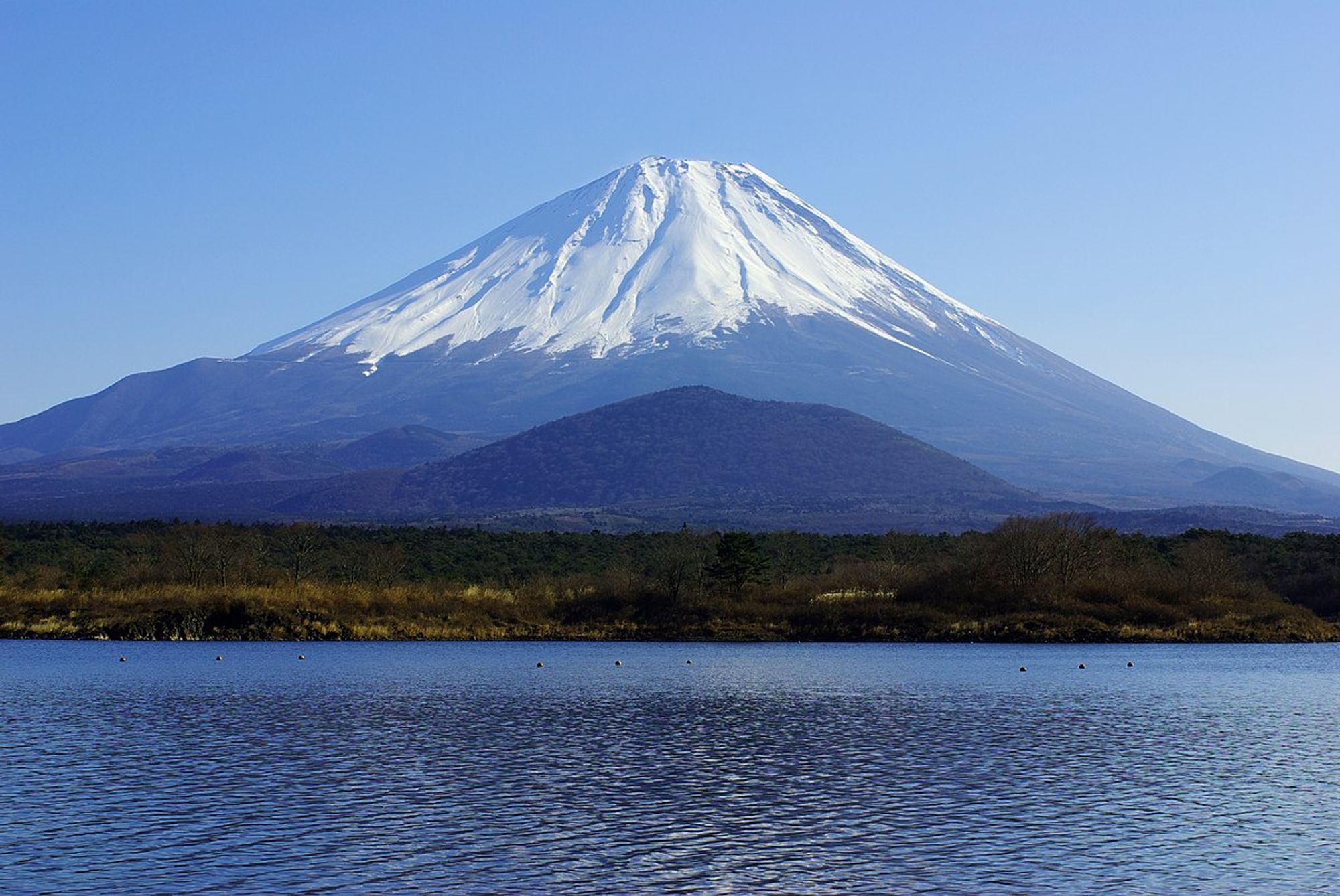 der Mount Fuji mit schneebedecktem Gipfel ragt majestätisch über einem See und Grünland