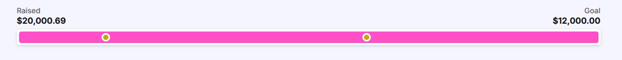 A progress bar in magenta, with text reading “Raised: $20,000.69,” and “Goal: $12,000.00”