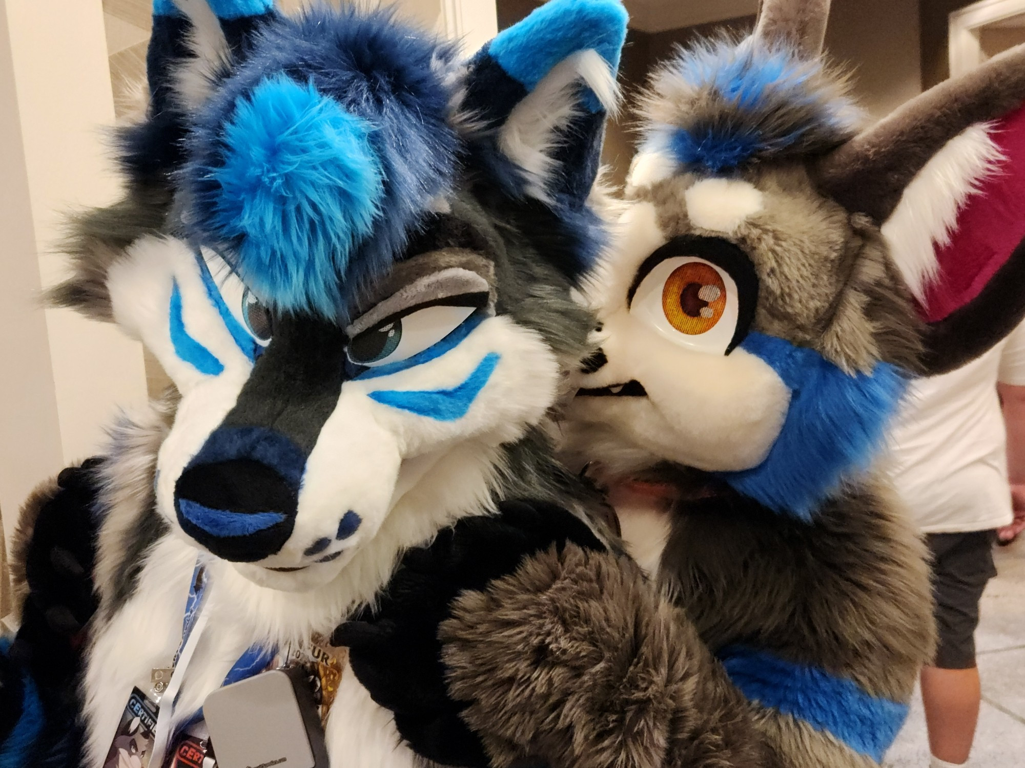 Two canine fursuiter, one sneaking up on the other in a devious fashion.