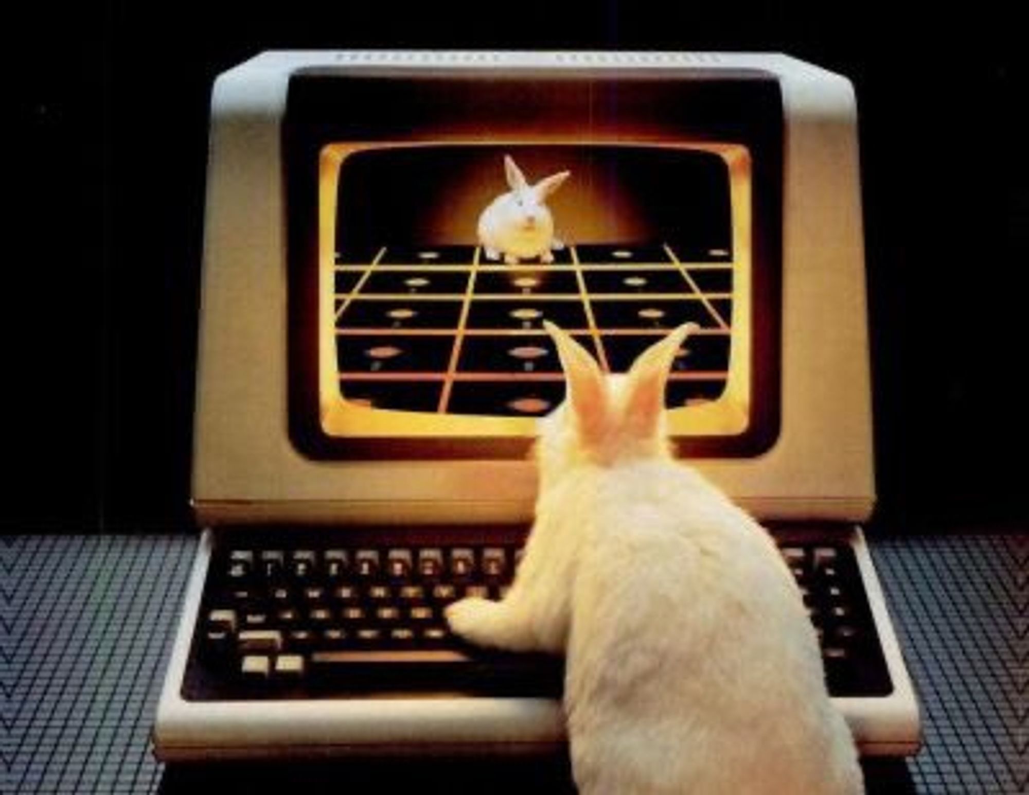 70's photo of a white rabbit reflecting in a VT100 terminal screen