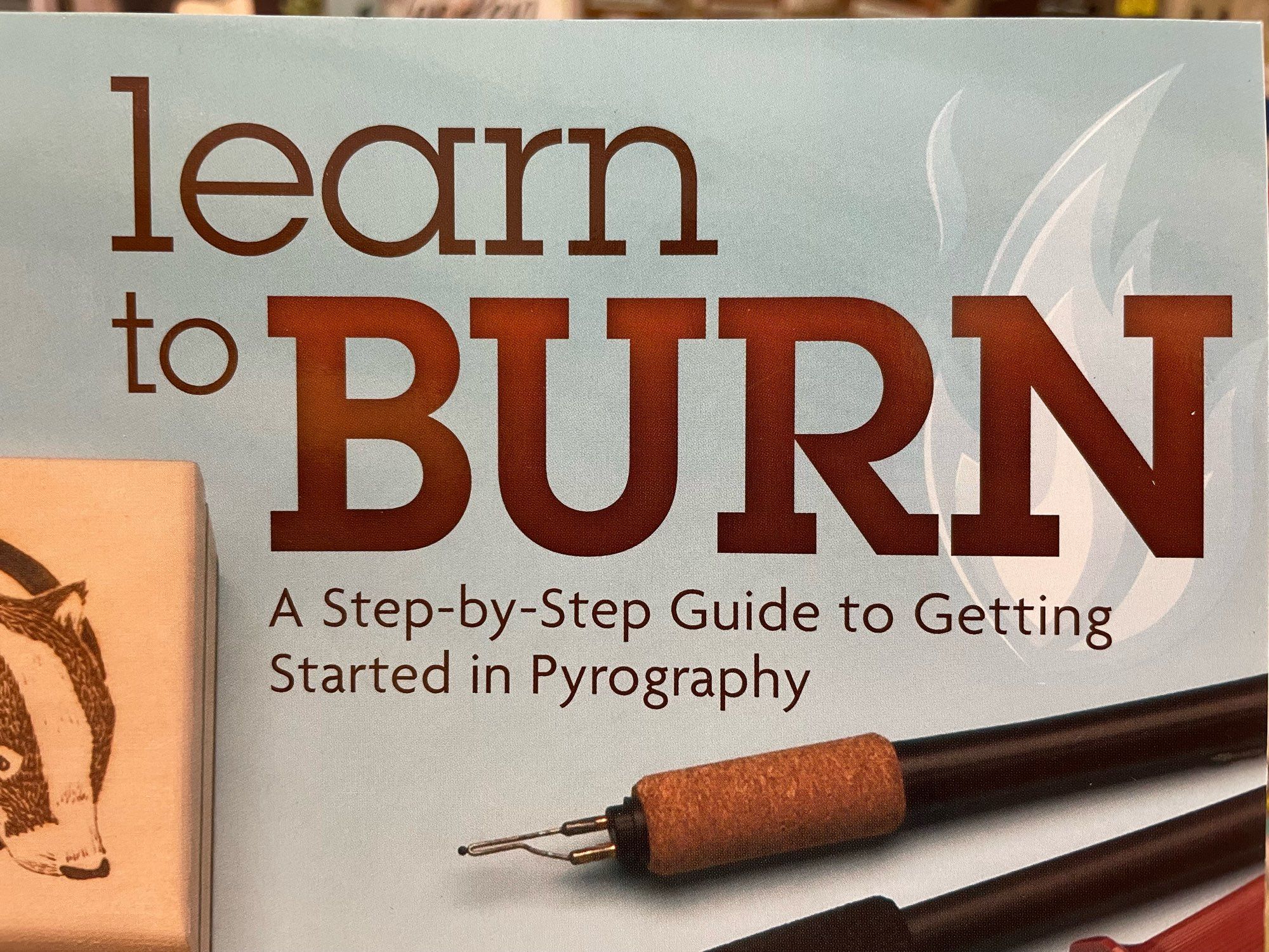 This is the cover of a book titled Learn to Burn: A Step-by-Step Guide of Getting Started in Pyrography.