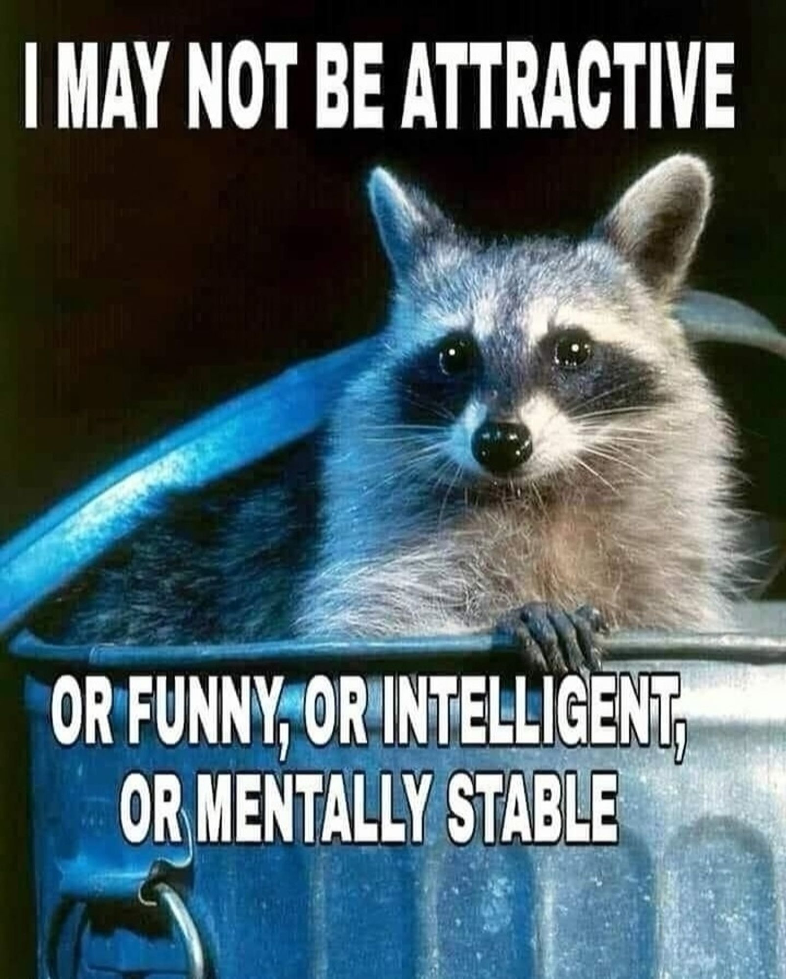 Image is a raccoon poking up from a trashcan with text reading I may not be attractive or funny or intelligent or mentally stable