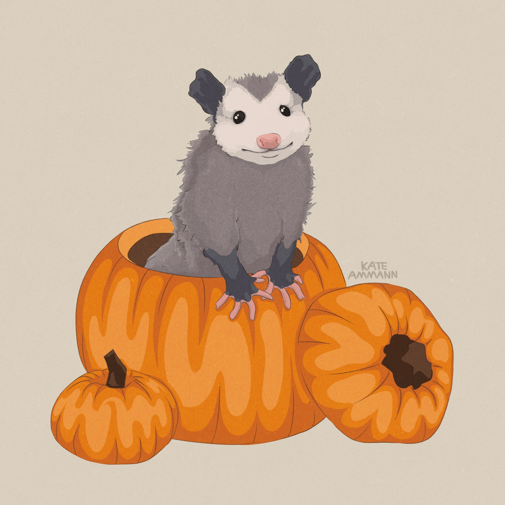 Digital illustration of an opossum standing up inside of a hollowed out pumpkin. He is smiling, and a mini pumpkin sits in front. The background is beige.