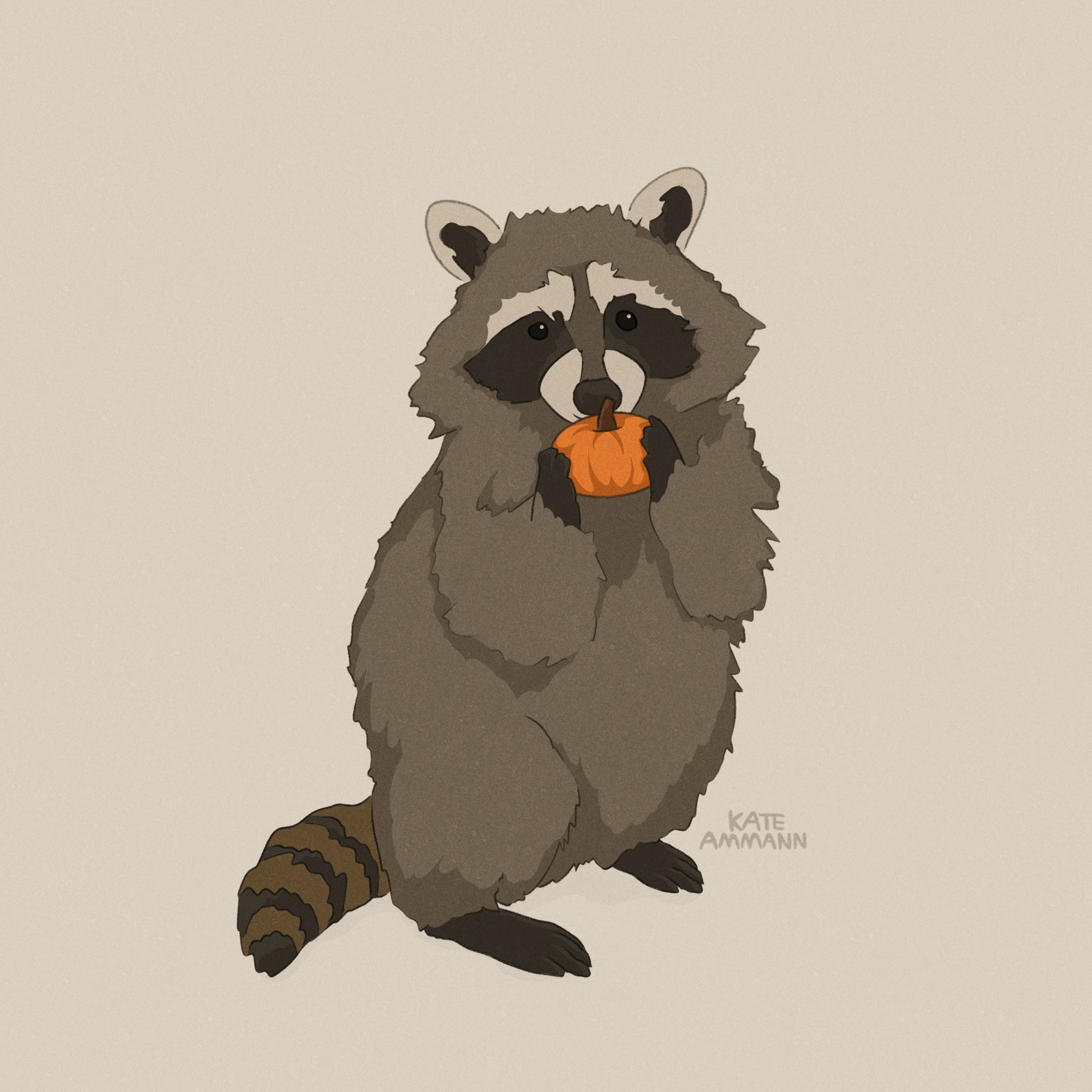 Digital illustration of a raccoon proudly holding up a mini pumpkin. The background is beige.