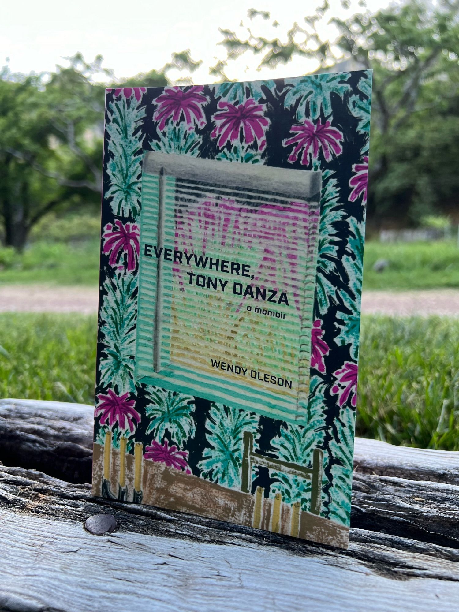 The book Everywhere, Tony Danza by Wendy Oleson.