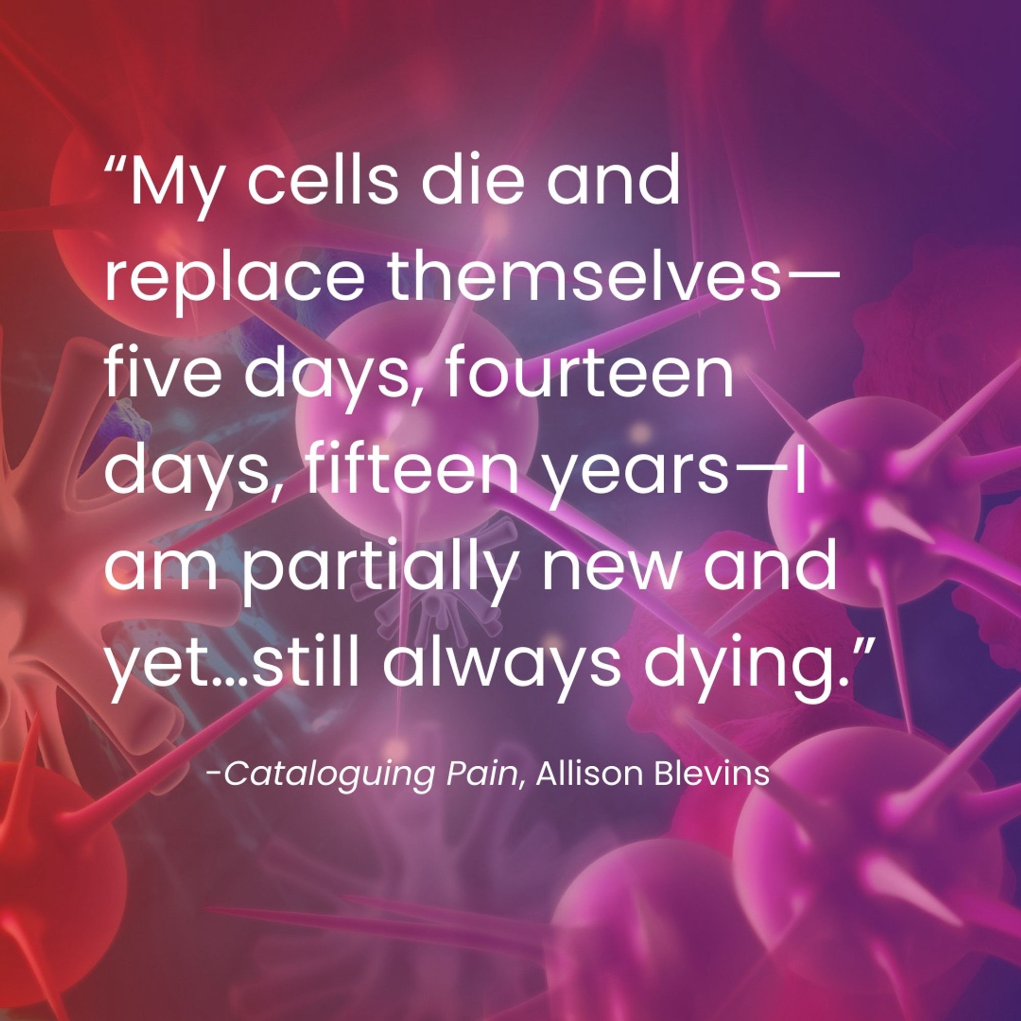 “My cells die and replace themselves—five days, fourteen days, fifteen years—I am partially new and yet…still always dying.” Cataloguing Pain, Allison Blevins.