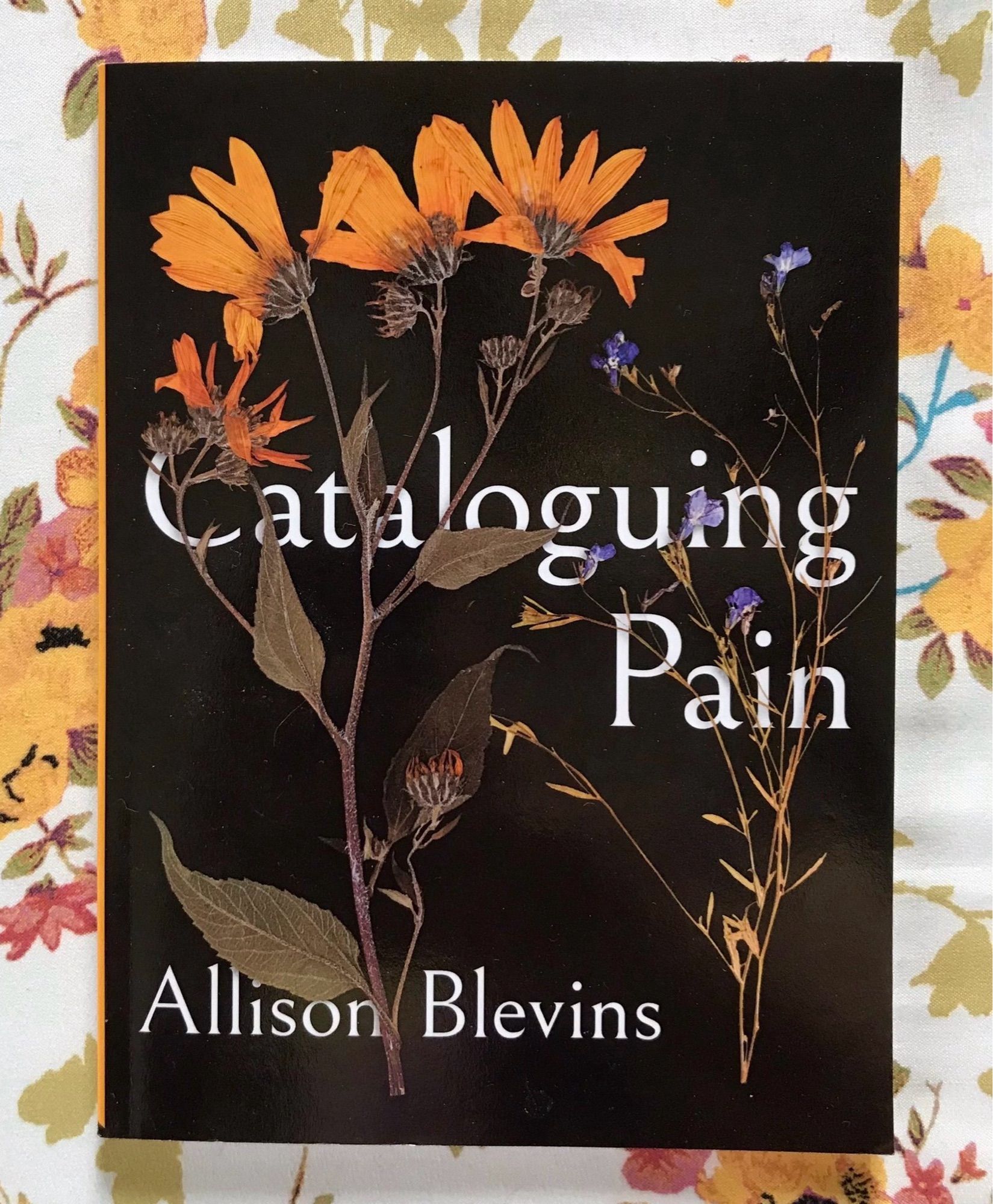 Cataloguing Pain by Allison Blevins