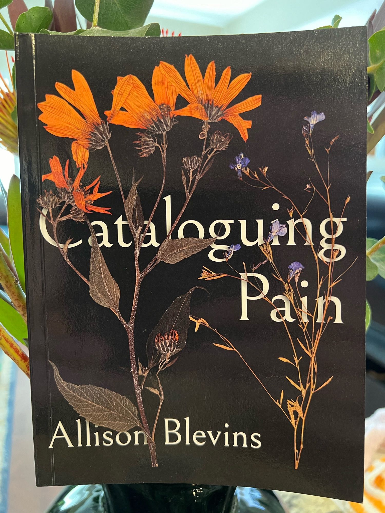 Cataloguing Pain by Allison Blevins