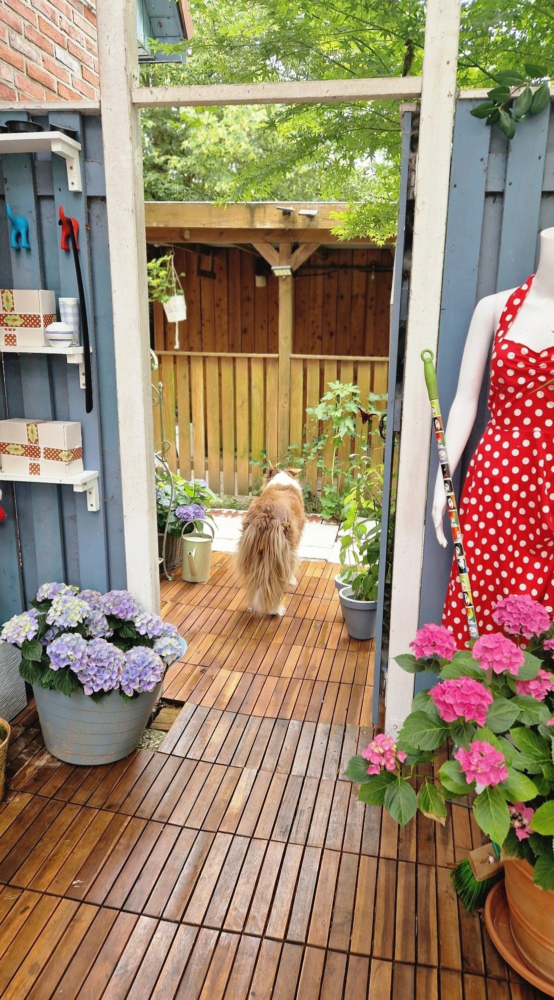 Hund guckt aus auf der Veranda