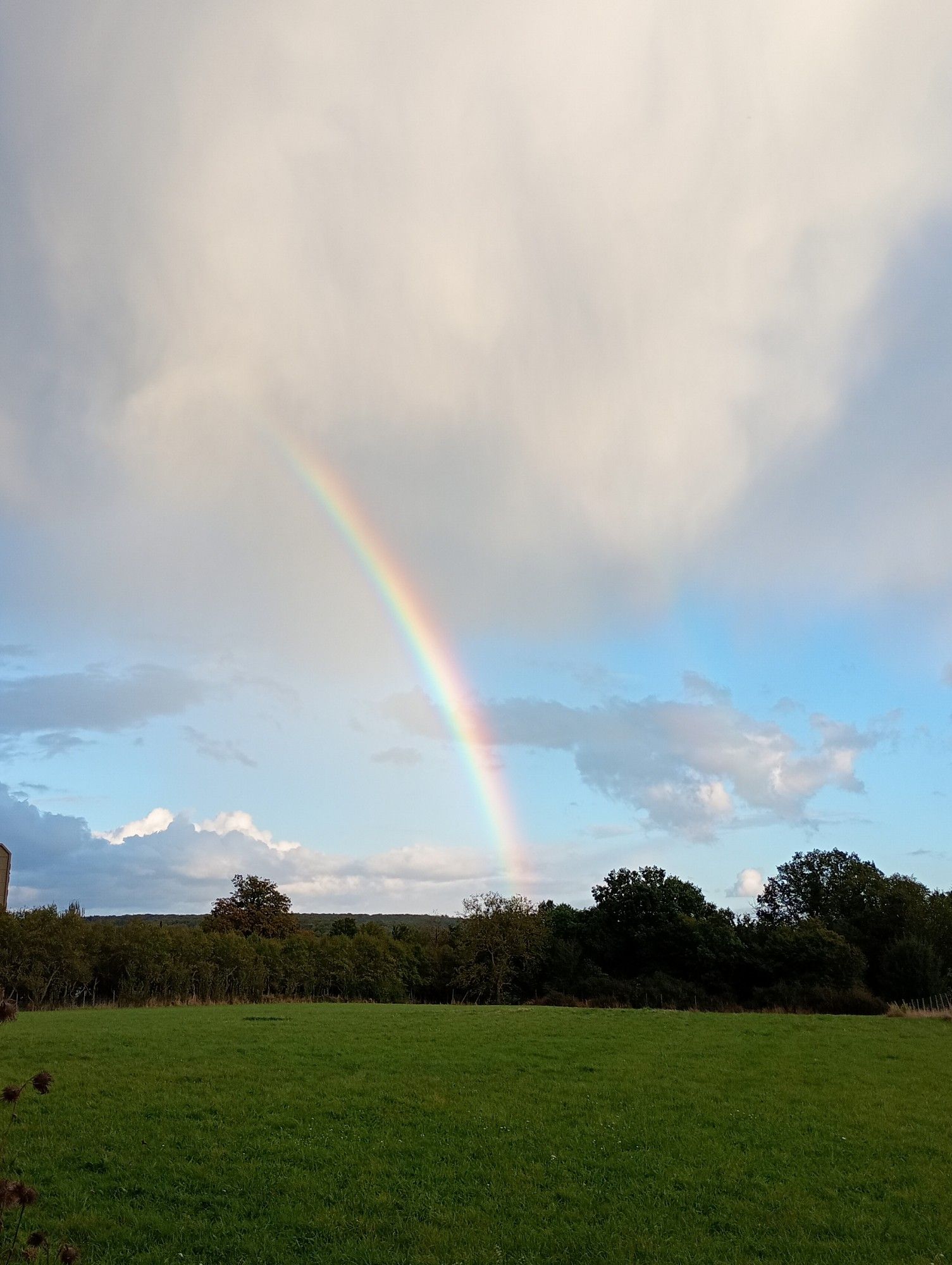 Green nature, cloudy sky and a beautiful rainbow.