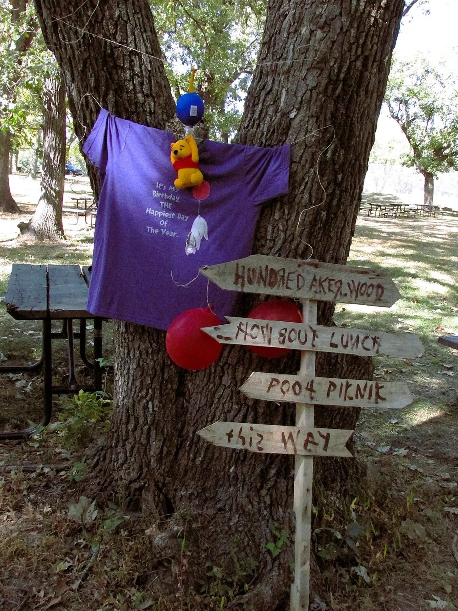 A purple t shirt with eeyore on it strung with twine on a forked tree. There is a wooden trail sign against the tree that reads "Hundred Aker Wood/How Bout Lunch/Pooh Piknik/This Way"