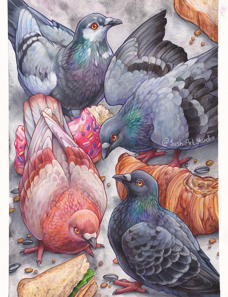 Pencil drawing of four feral pigeons in different colours and half eaten food and seeds