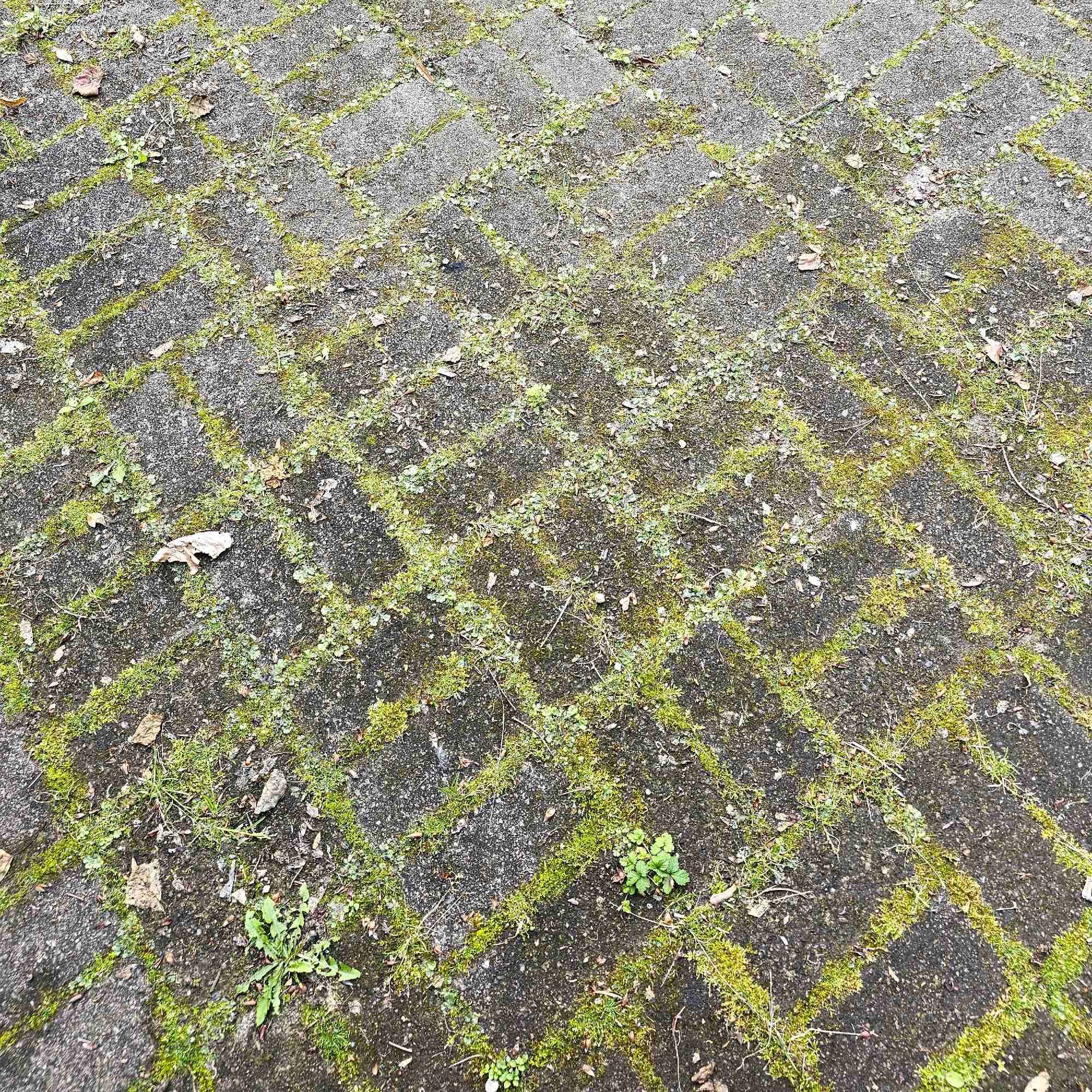 Grey driveway bricks laid out in a basic geometrical pattern outlined by all the messy green stuff growing in between each brick.