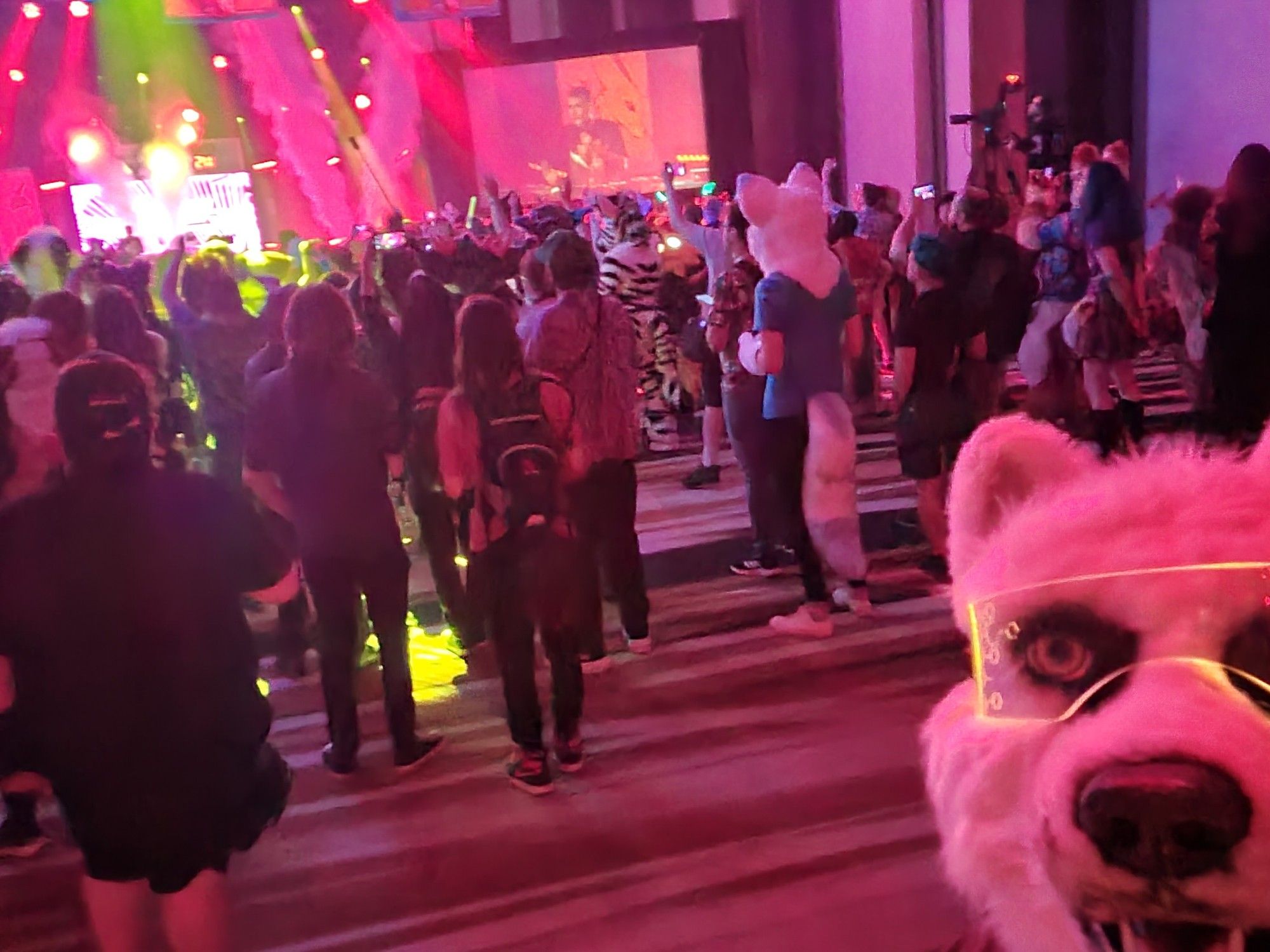 Me in partial futsuit at a Mystery Skulls performance with light effects and other attendees in the background