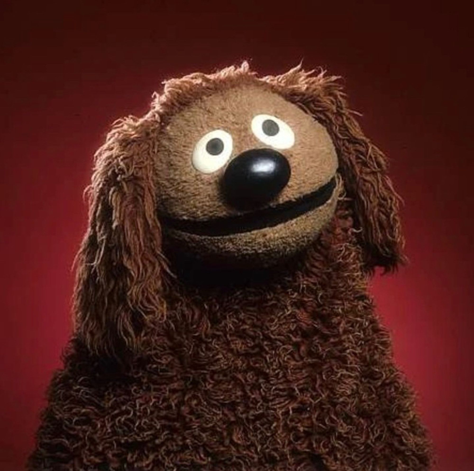 Rowlf the Dog looking adorable.