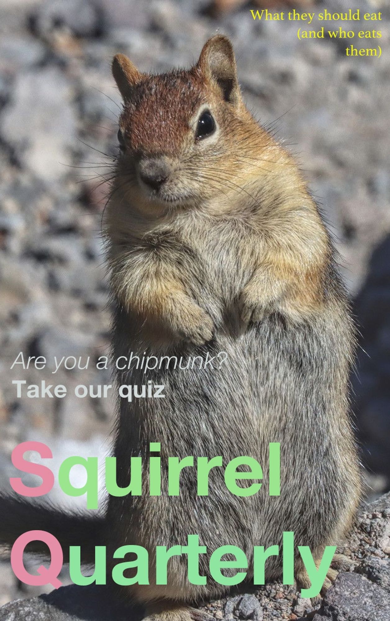 Magazine cover with super-cute squirrel and title "Squirrel Quarterly". Added text includes 'Are you a chipmunk? take our quiz' and "What they should eat (and who eats them)"