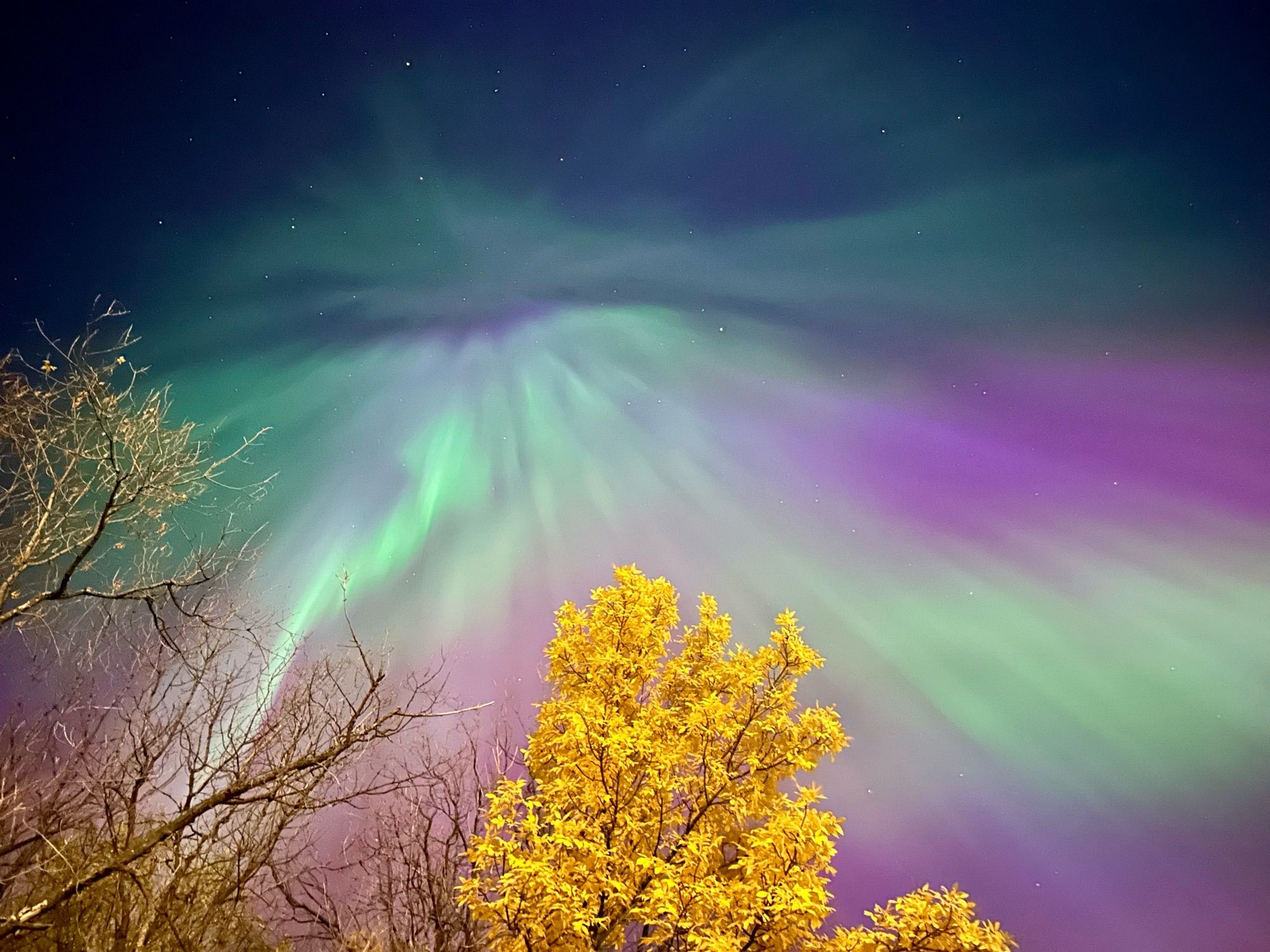 Aurora over fall foliage