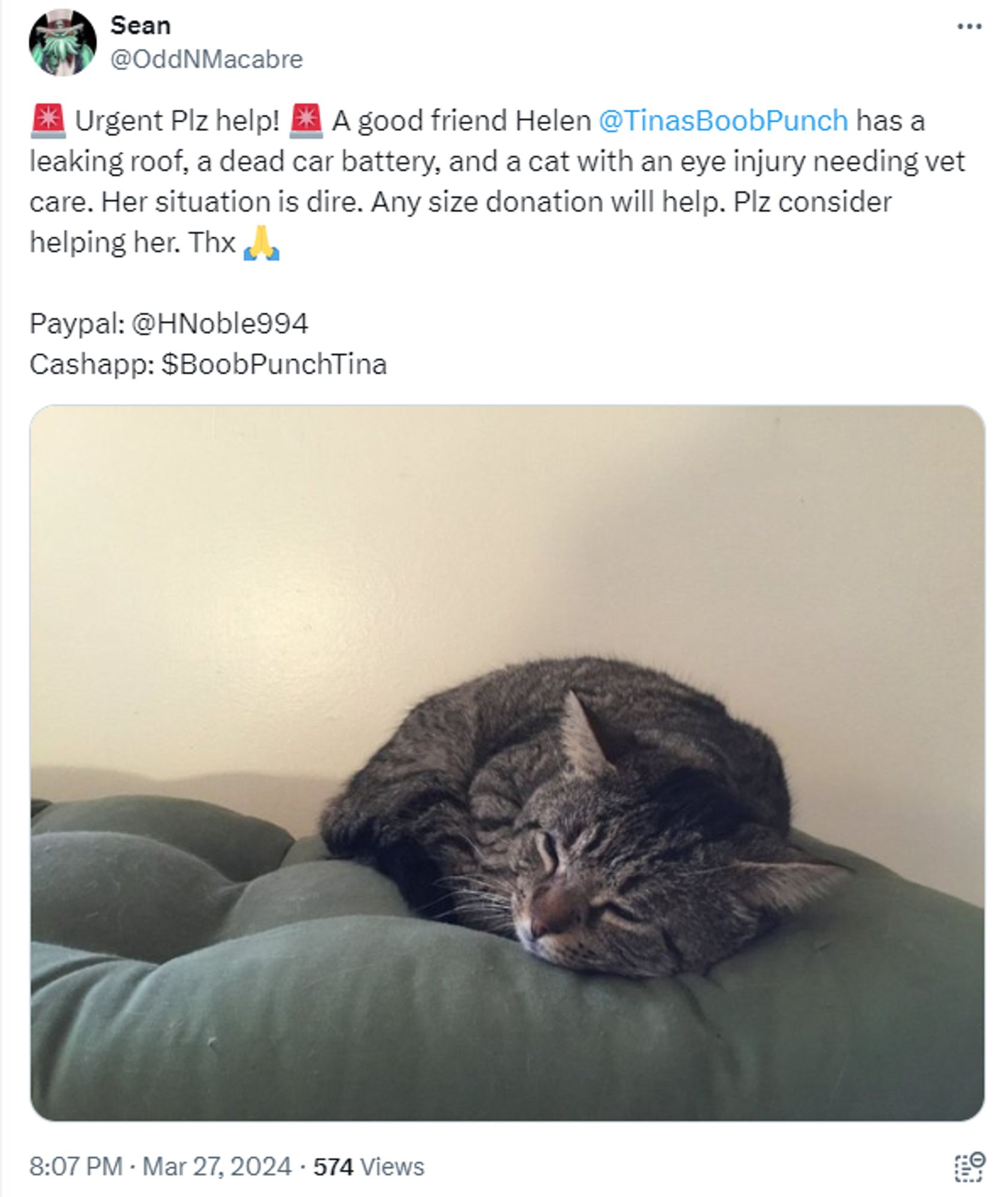 Post on X by @OddNMacabre, a better friend than I could hope for or probably deserve:
🚨 Urgent Plz help! 🚨 A good friend Helen 
@TinasBoobPunch
 has a leaking roof, a dead car battery, and a cat with an eye injury needing vet care. Her situation is dire. Any size donation will help. Plz consider helping her. Thx 🙏
Paypal: @HNoble994
Cashapp: $BoobPunchTina
With pic of gray striped tabby sleeping, from before he sustained his current injury. I don't have a pic of the injury yet, if anyone wants to see that. Will try to get one in the daylight.