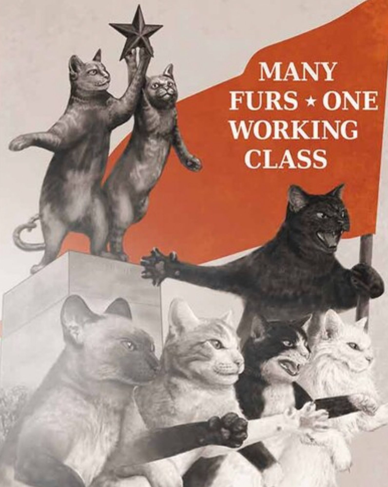 illustration based on soviet posters ; cats with different fur  with one holding a red flag with text that reads "Many Furs * One Working Class"

source: sovcat posters, via nathannunart on etsy