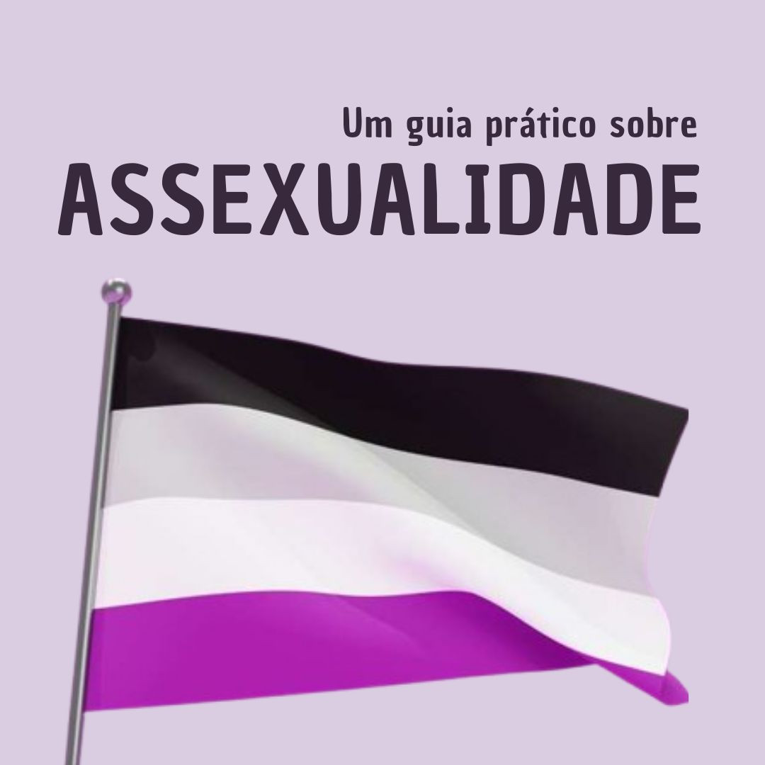 Imagem com fundo cinza claro, onde escrito na parte de cima "Um guia prático sobre assexualidade" e em baixo tem uma bandeira assexual flamulando num mastro.