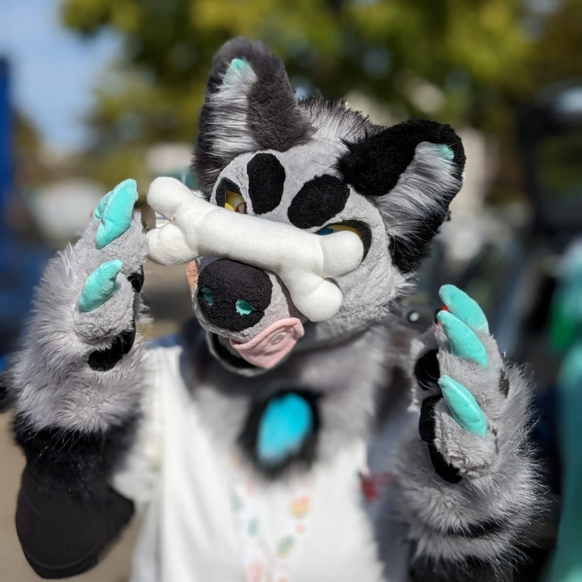 A Wolf fursuit balancing a plush bone on their nose. The tounge of the fursuit is licking the snout