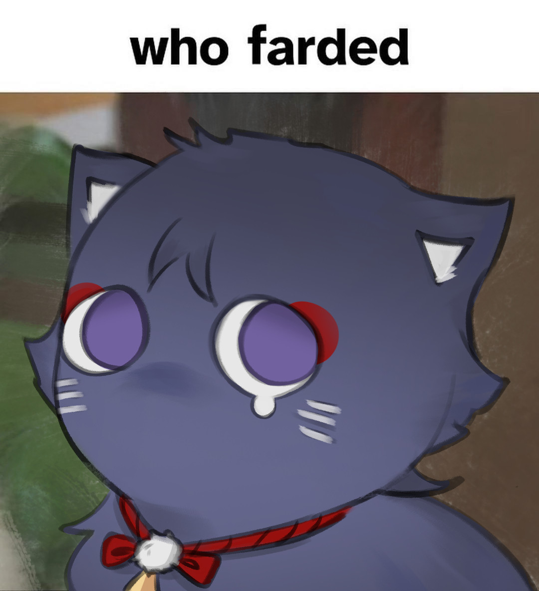 silly cat crying with a text "who farded", in reality he did