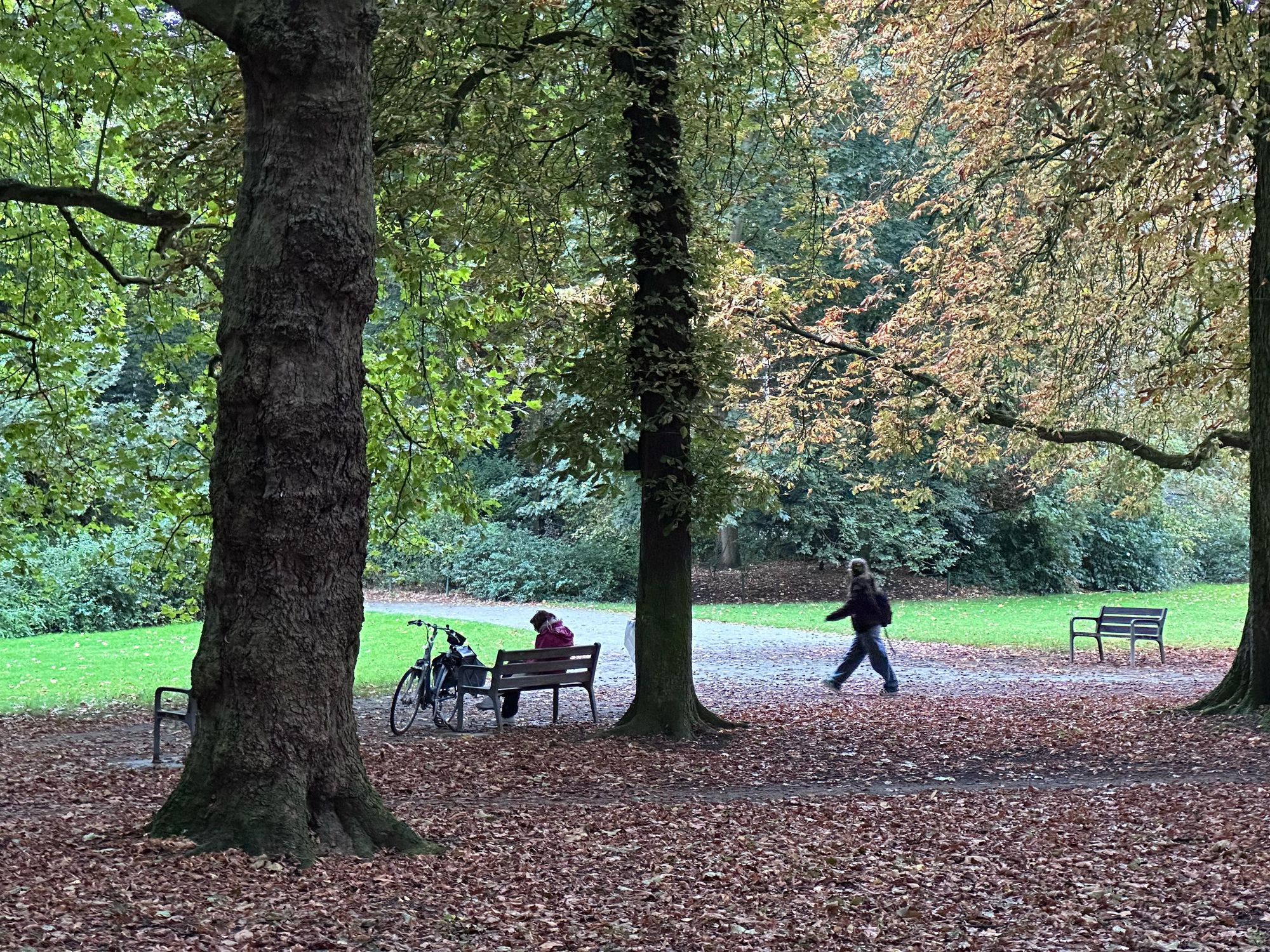 This photo captures a tranquil park scene in autumn, showing two large trees in the foreground with lush green and golden leaves. A person sits on a bench looking at their phone, with a bicycle parked beside them, while another person walks briskly across the path, all set against a carpet of fallen brown leaves.