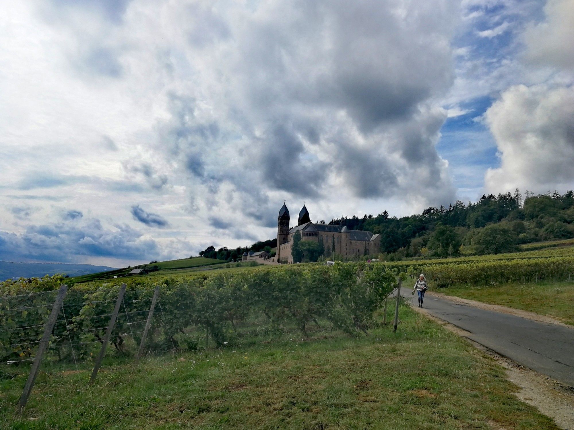 Weinberge und wolkiger Himmel, ein Weg führt zur Abteikirche mit 2 Türmen