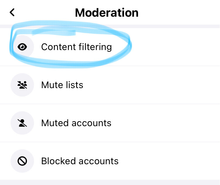 Under Moderation, Content filtering is circled