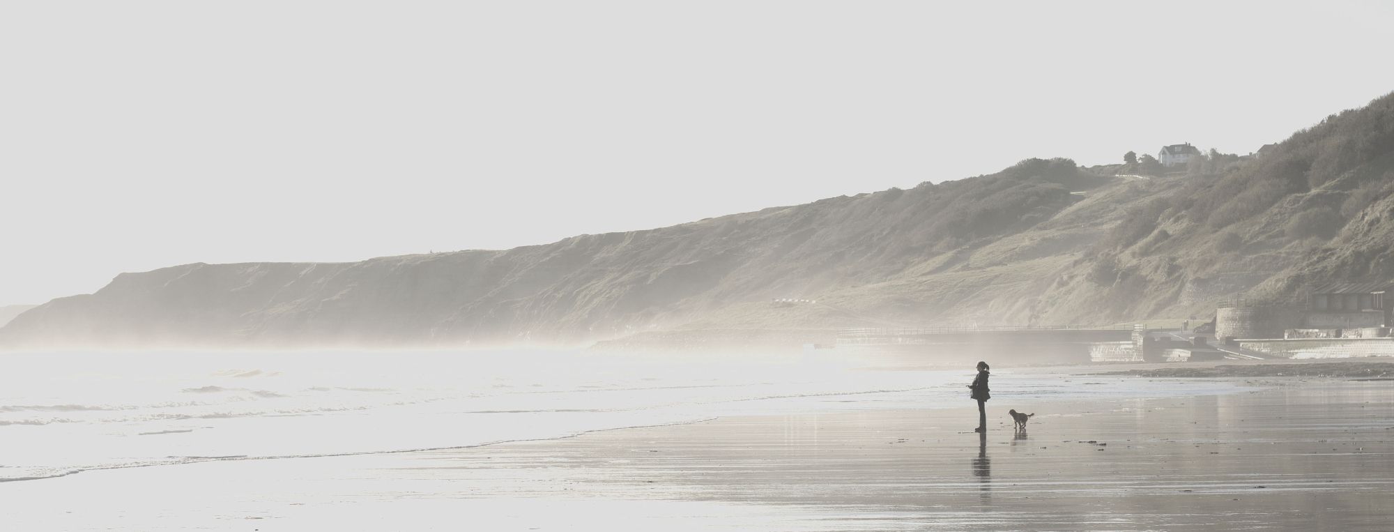 A woman staring into the bright white sea with dog beside her