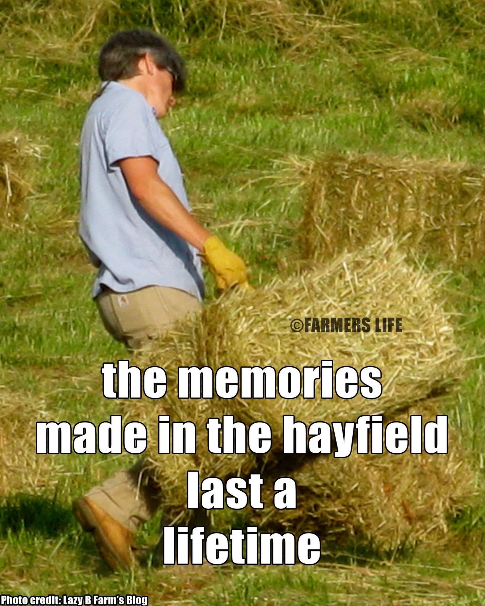 Man carrying a bale of hay with a saying the memories made in the hayfield last a lifetime.