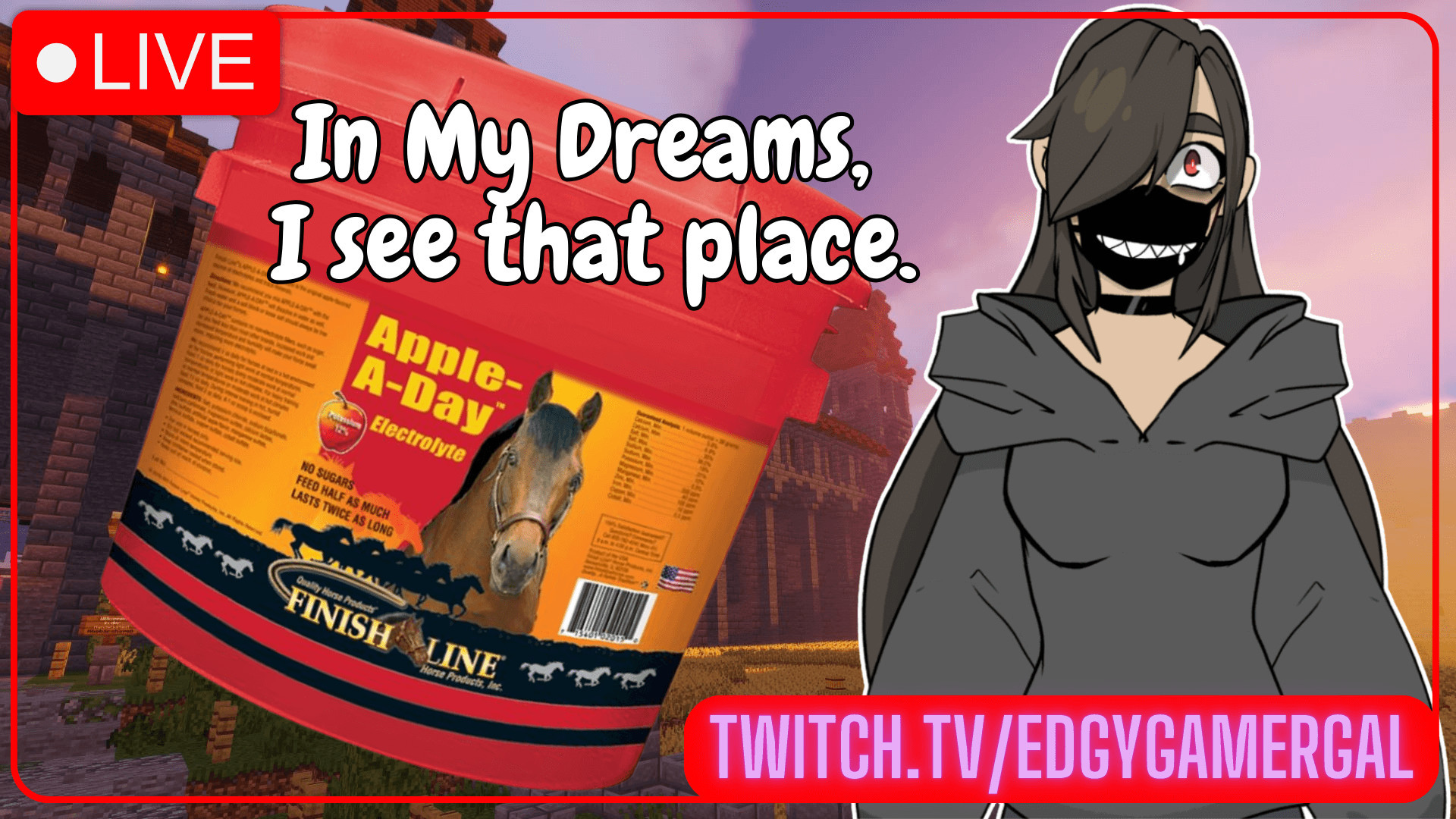 A stream thumbnail of EGG in a Minecraft world with a giant container of Electrolytes and the caption "In My Dreams, I See That Place."