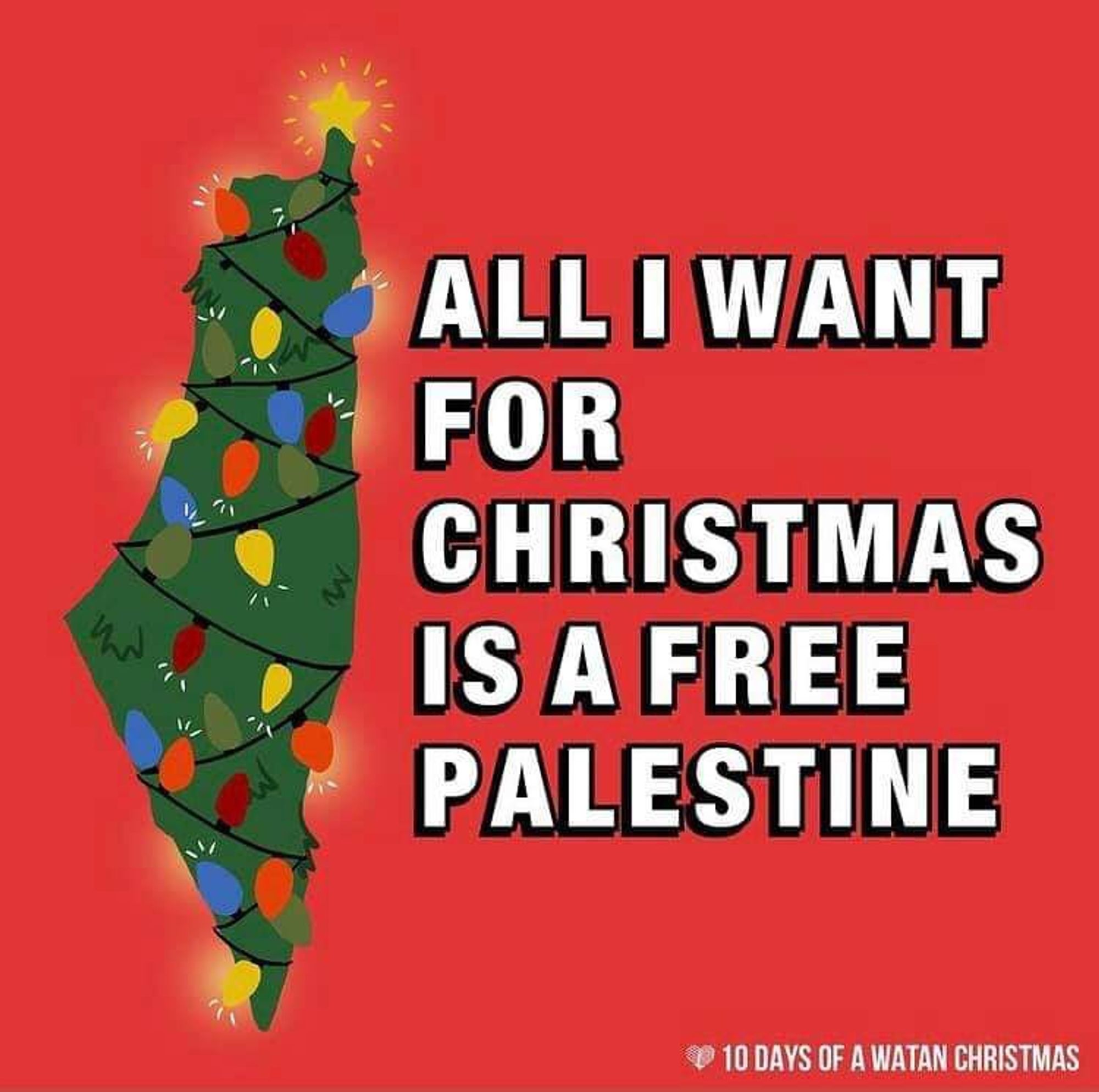 Graphic of Palestine map in green, decorated like a Xmas tree