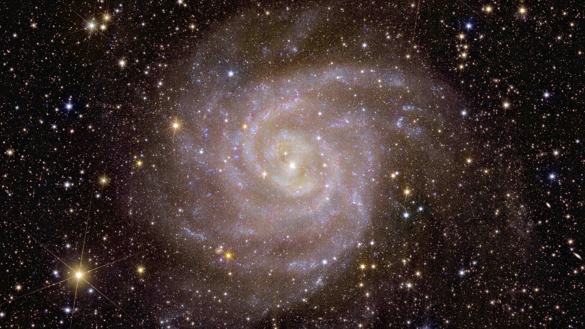 spiral galaxy IC 342