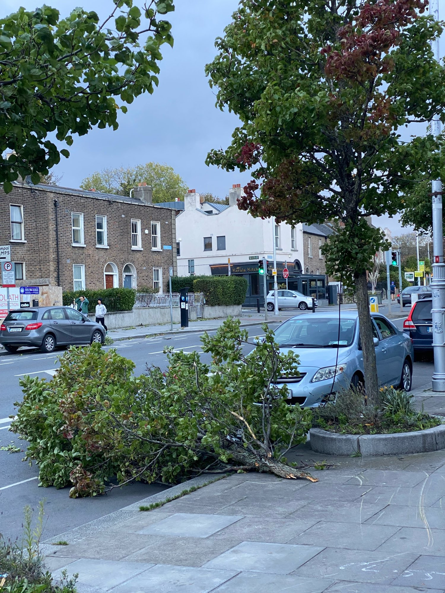 A big branch on the footpath blown off a tree by strong winds