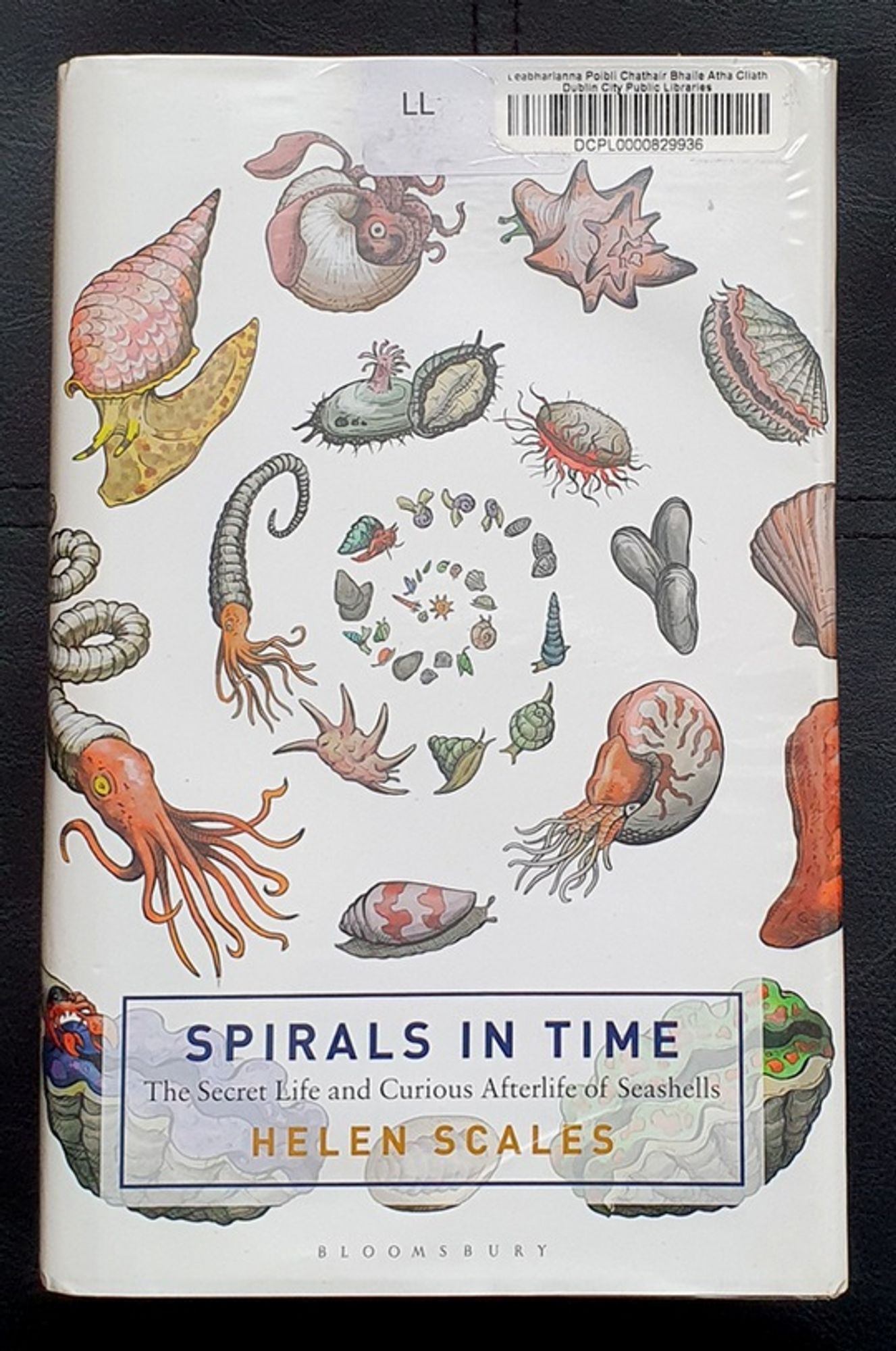 Helen Scales's book Spirals in Time: The Secret Life and Curious Afterlife of Seashells. The cover is white with a beautiful, eye-catching colour illustration of dozens of molluscs – clams, snails, scallops, sea butterflies, etc. – in a loose spiral, getting smaller towards the centre. Art is by Aaron John Gregory. The author's name and book title appear in a rectangular box at the bottom.