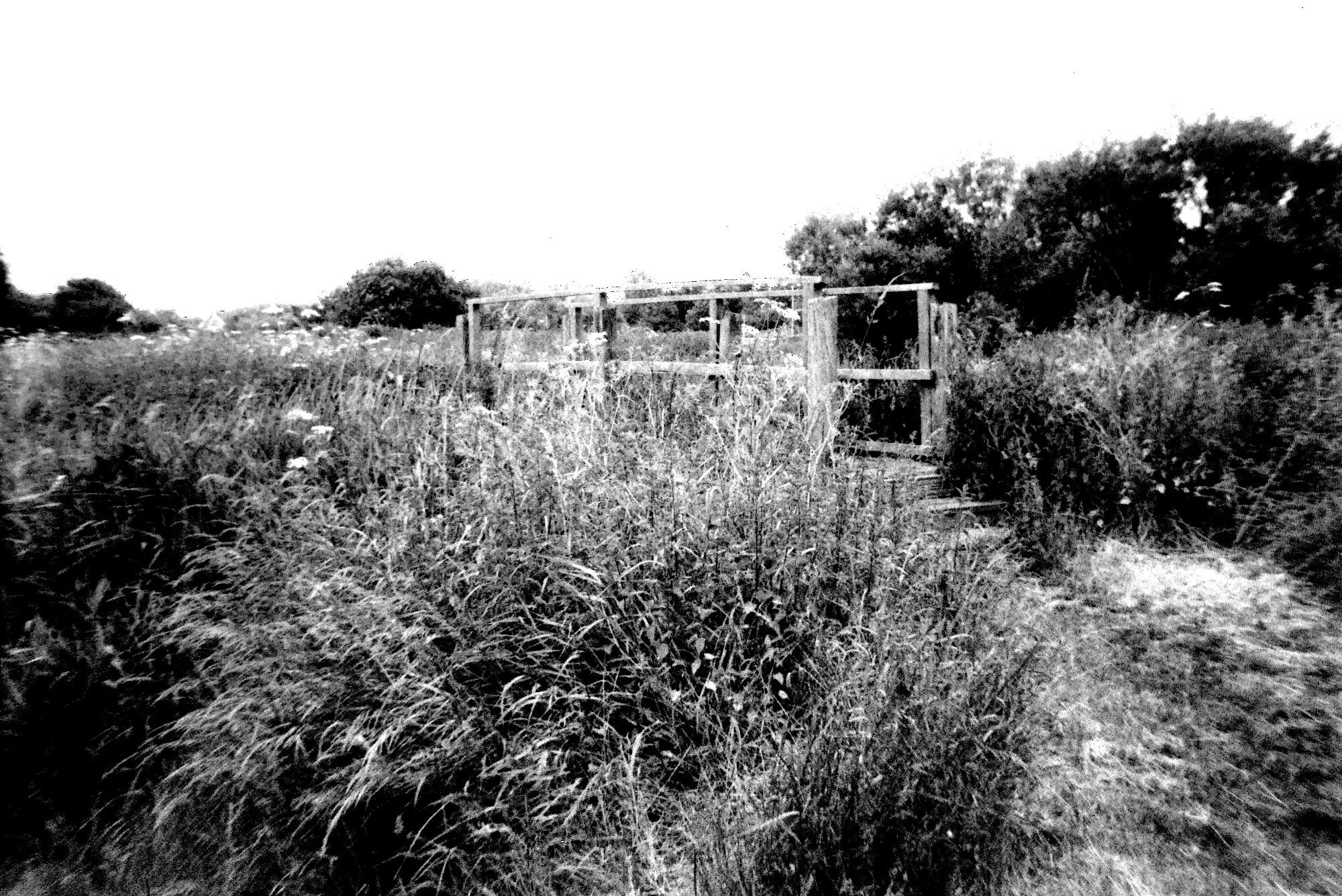 A simple wooden bridge crossing a small side stream of Elstow Brook.