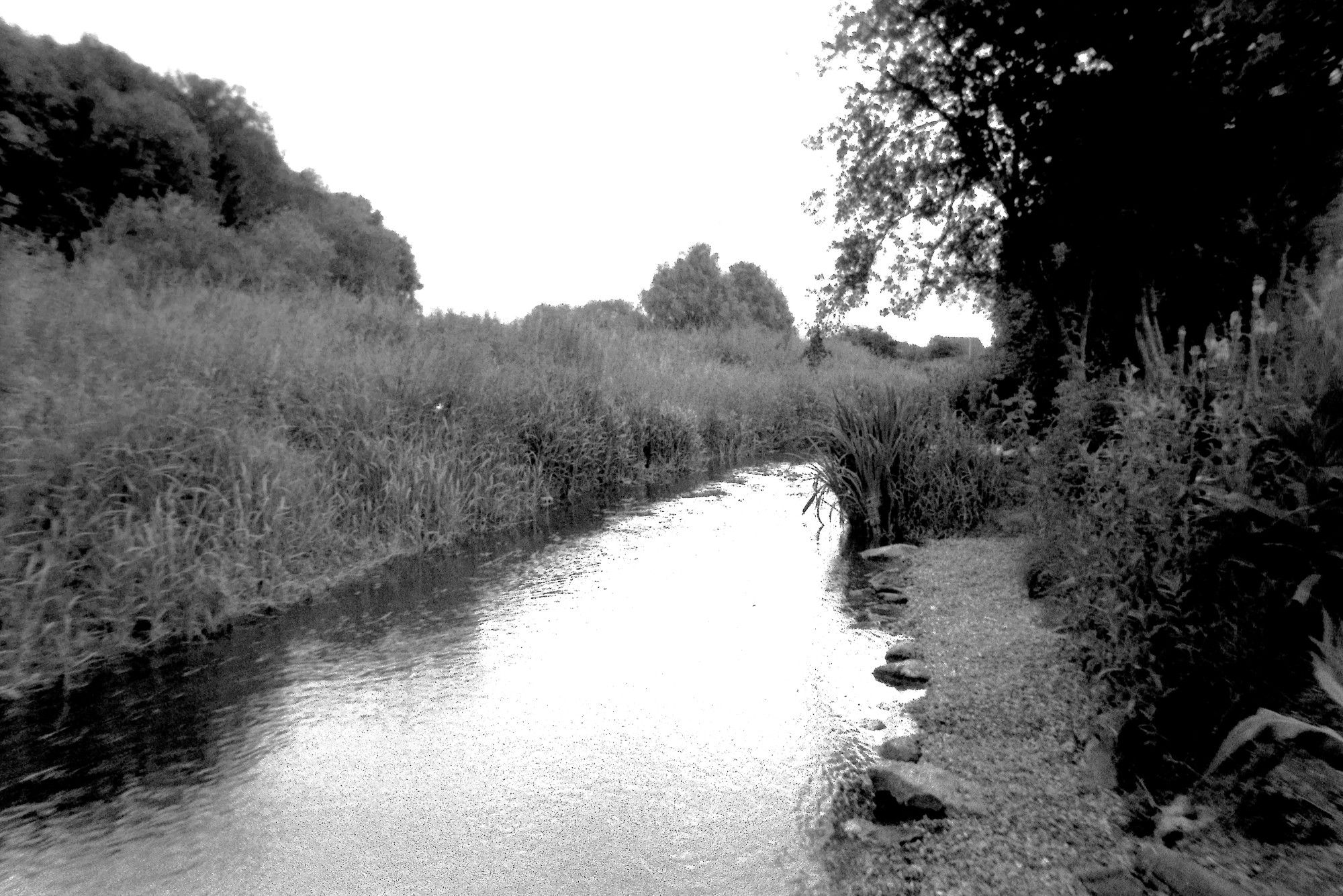 Elstow Brook.